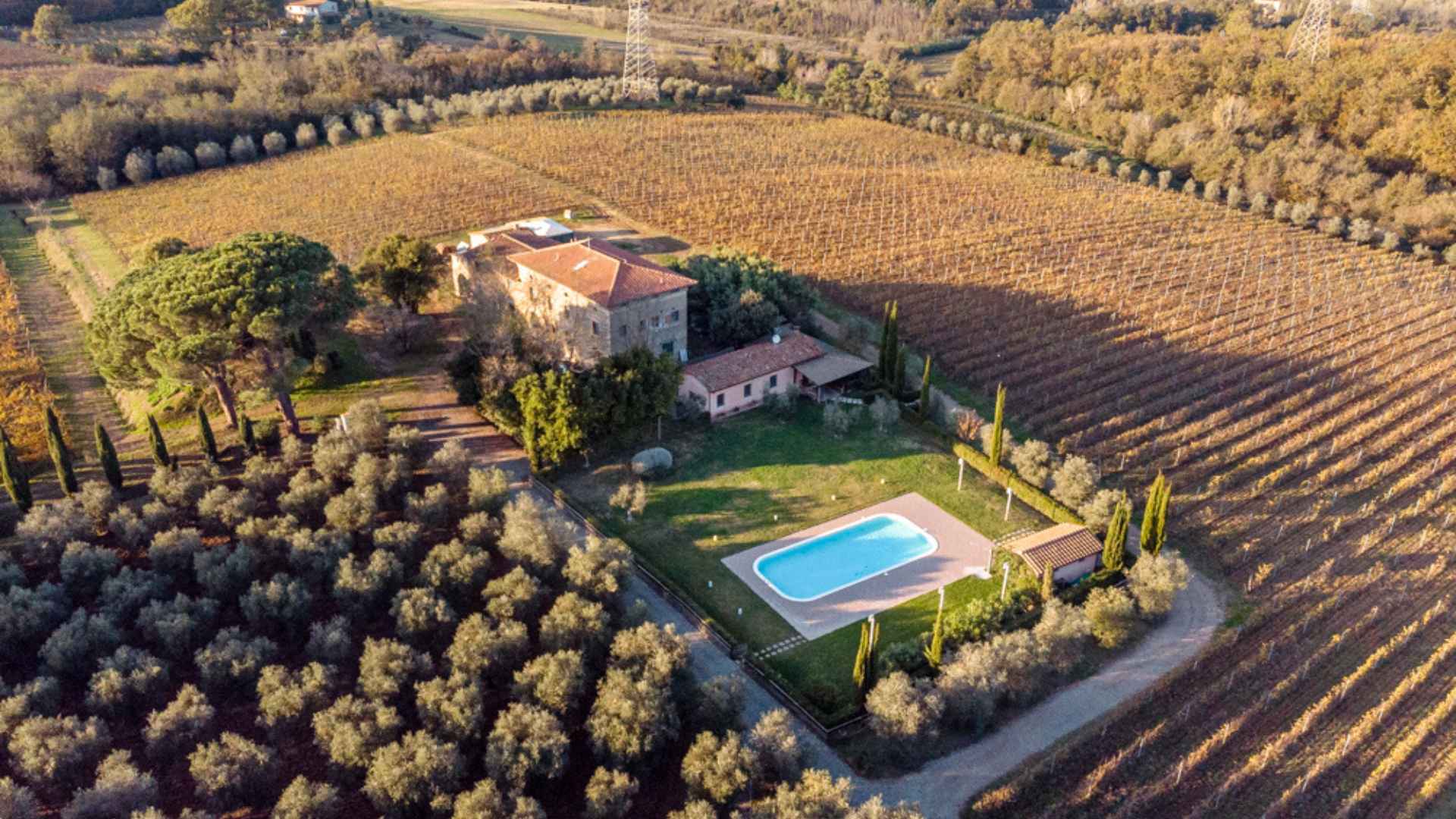 Gli Archi winery and vineyard, during autumn and a sunset. 