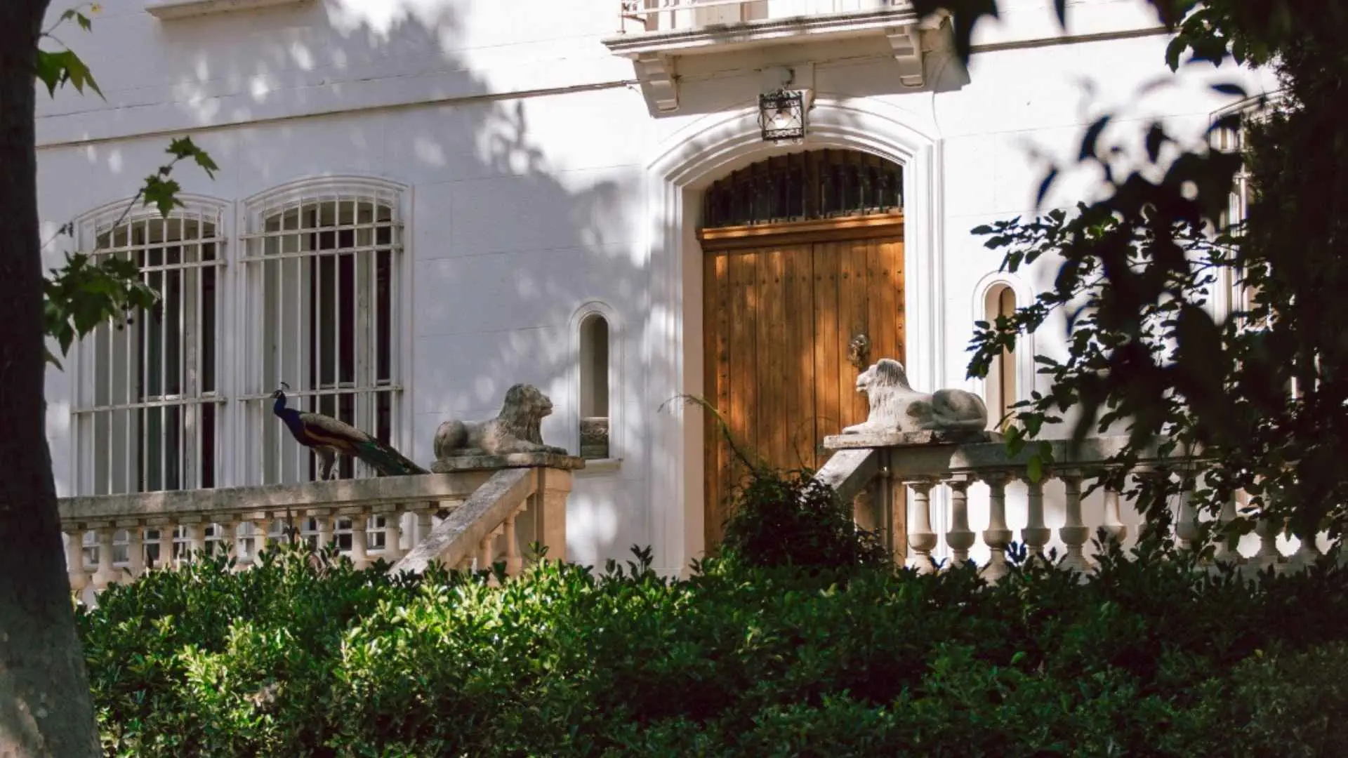 Domaine de Rombeau winery building showing its old architecture, lions perched on the doorway and an actual living peacock next to them.