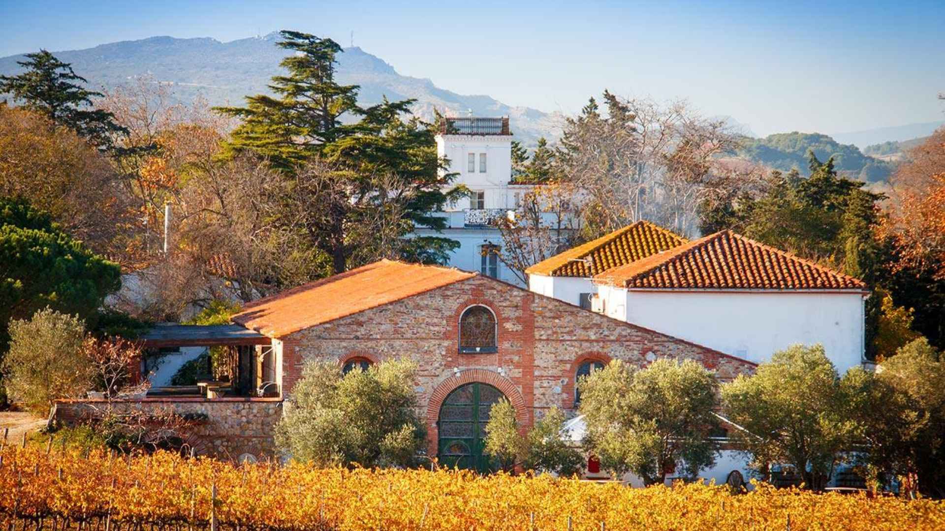 France, Languedoc-Roussillon, Domaine de Rombeau France, Languedoc-Roussillon, Domaine de Rombeau