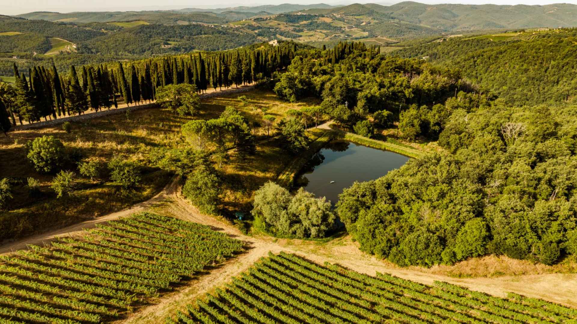 Castello di Albola vineyards and lake. The photo was taken late in the day.