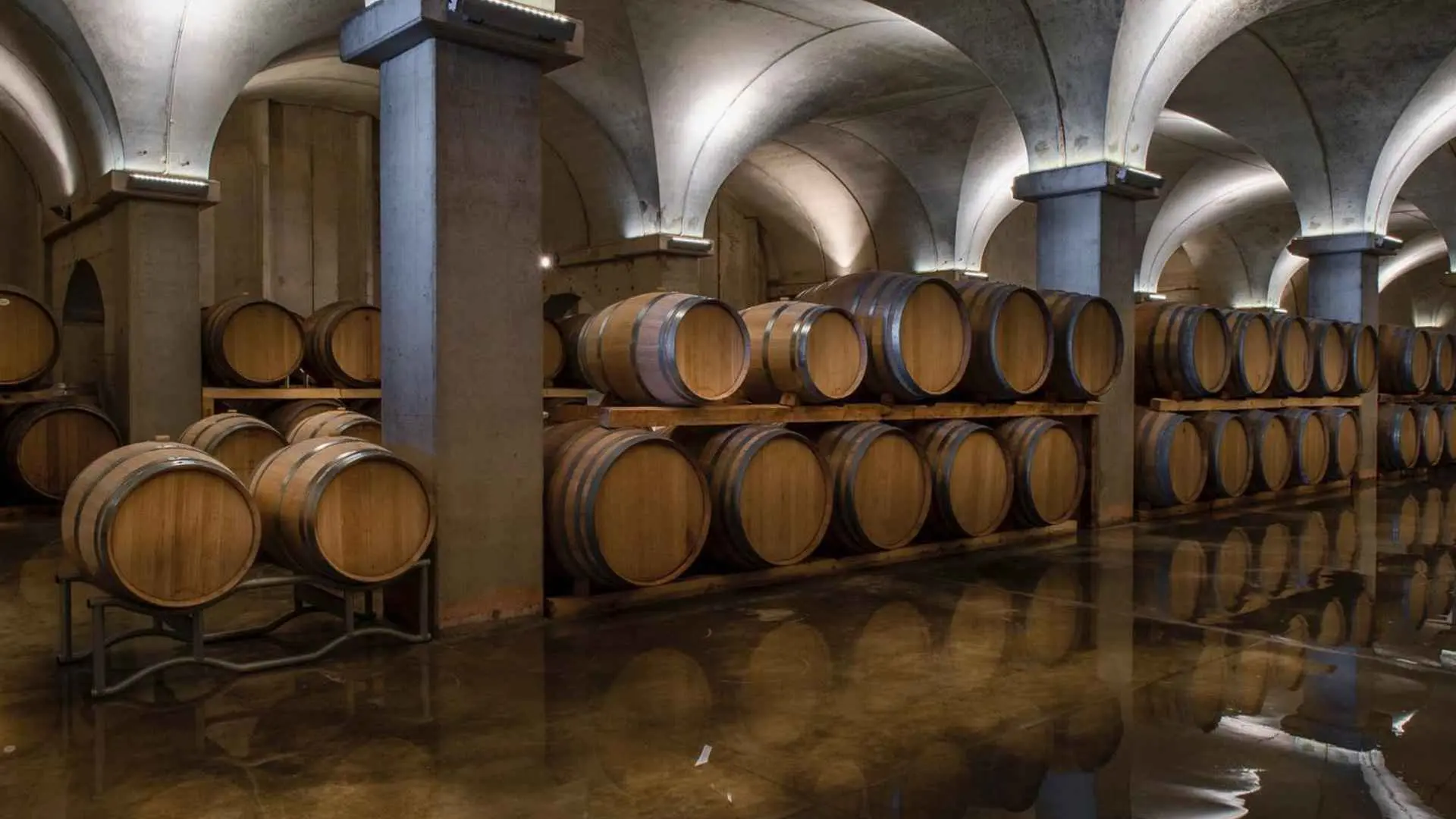 Feudo Maccari winery cellar. The cellar is full of old pillars and arches, as well as stacked wine barrels. It is lit with a clear white light.