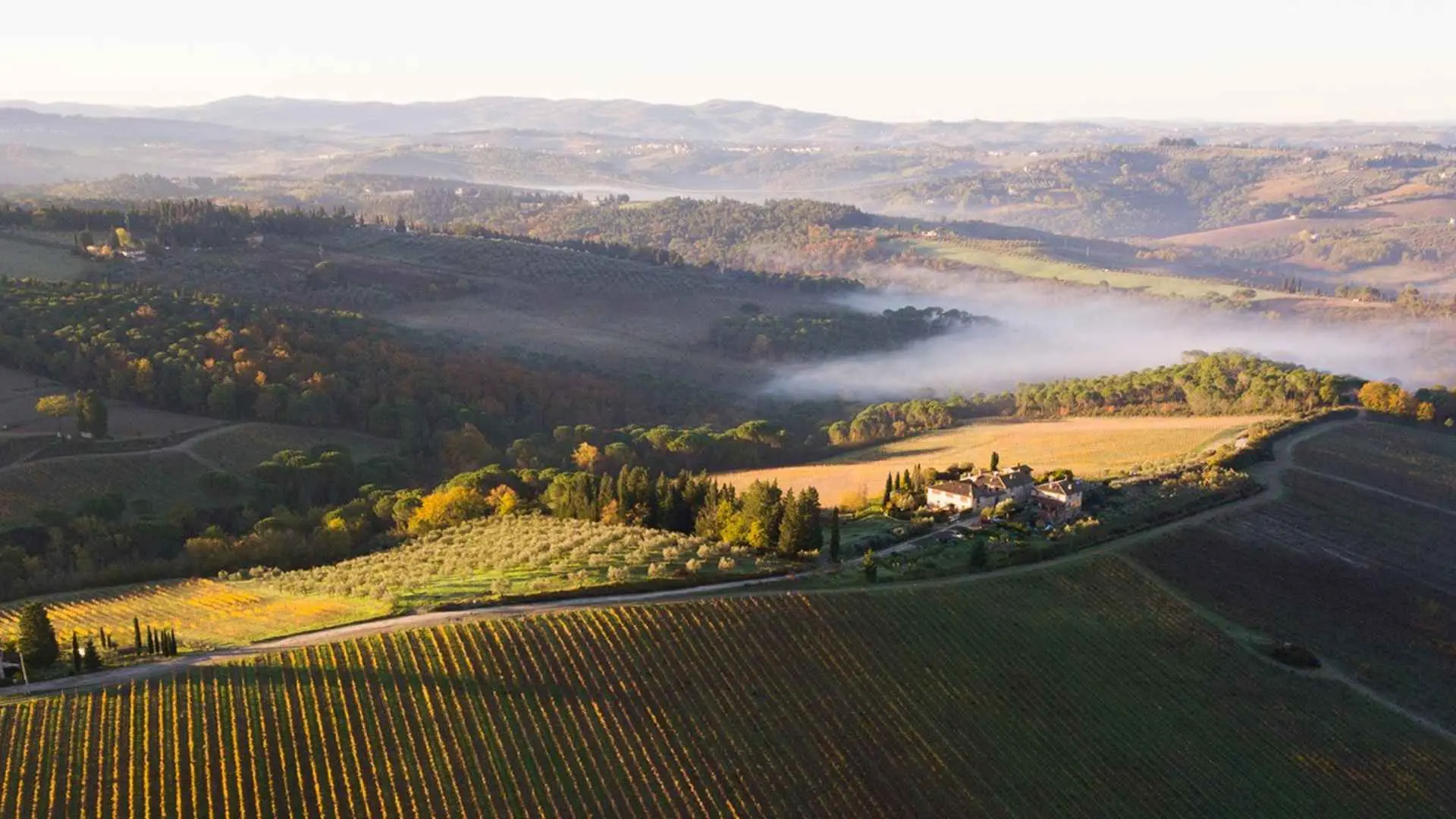 Italy, Tuscany, Ruffino 1877 Italy, Tuscany, Ruffino 1877