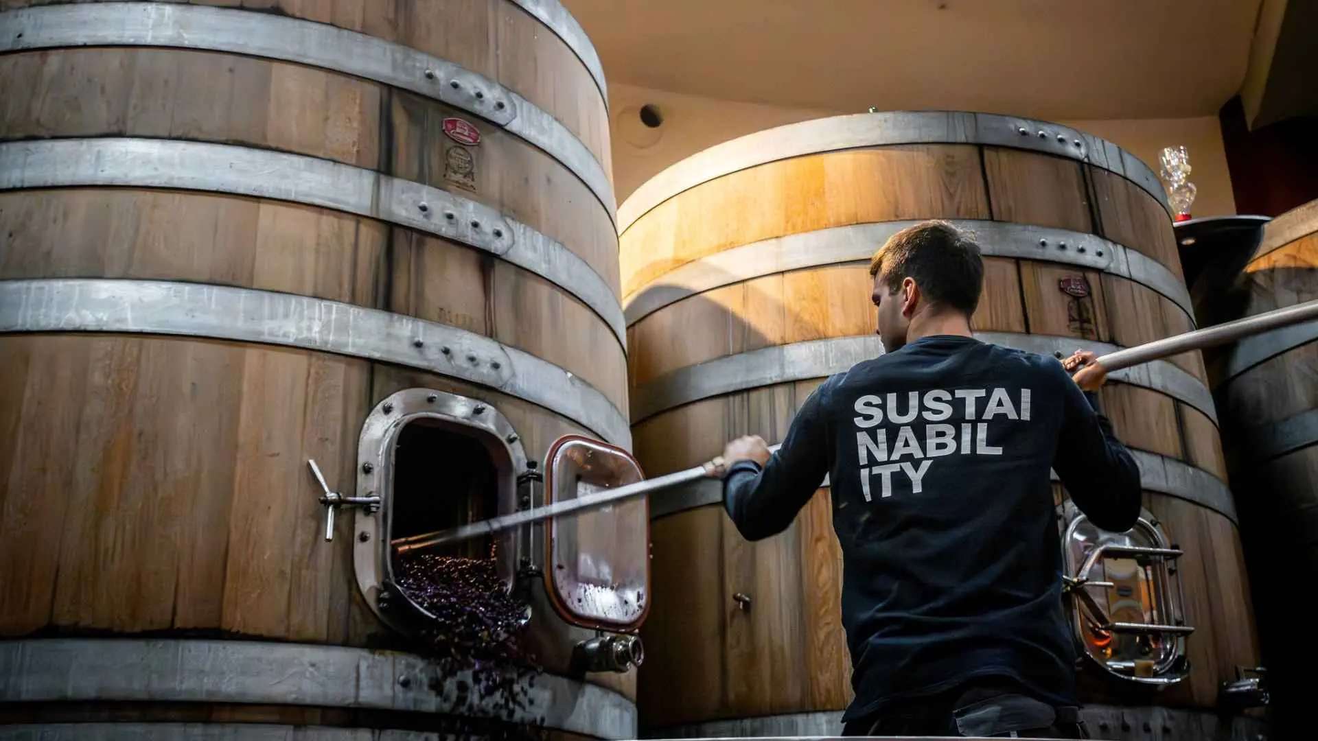 A worker handling grapes inside a huge wine tank in the Salcheto winery.