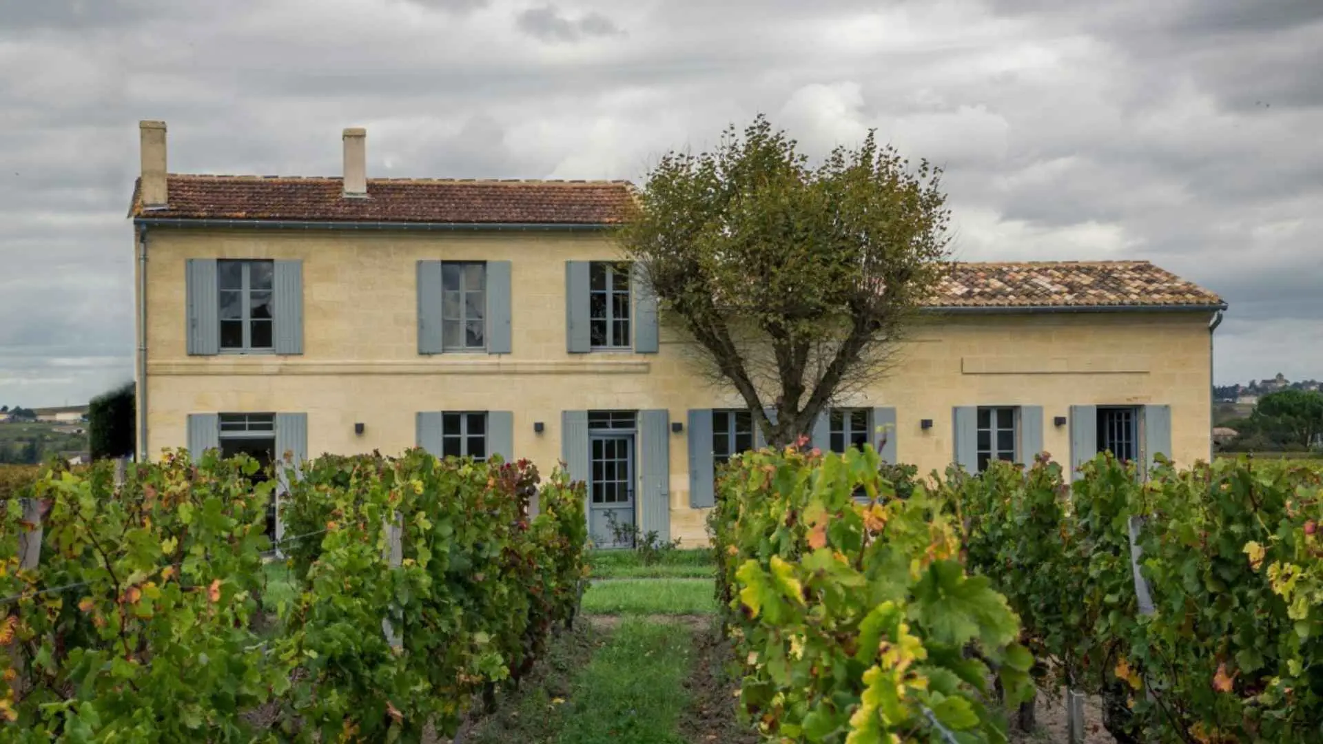The image shows the vineyard and winery building of the Clos Systey winery. The sky is cloudy.