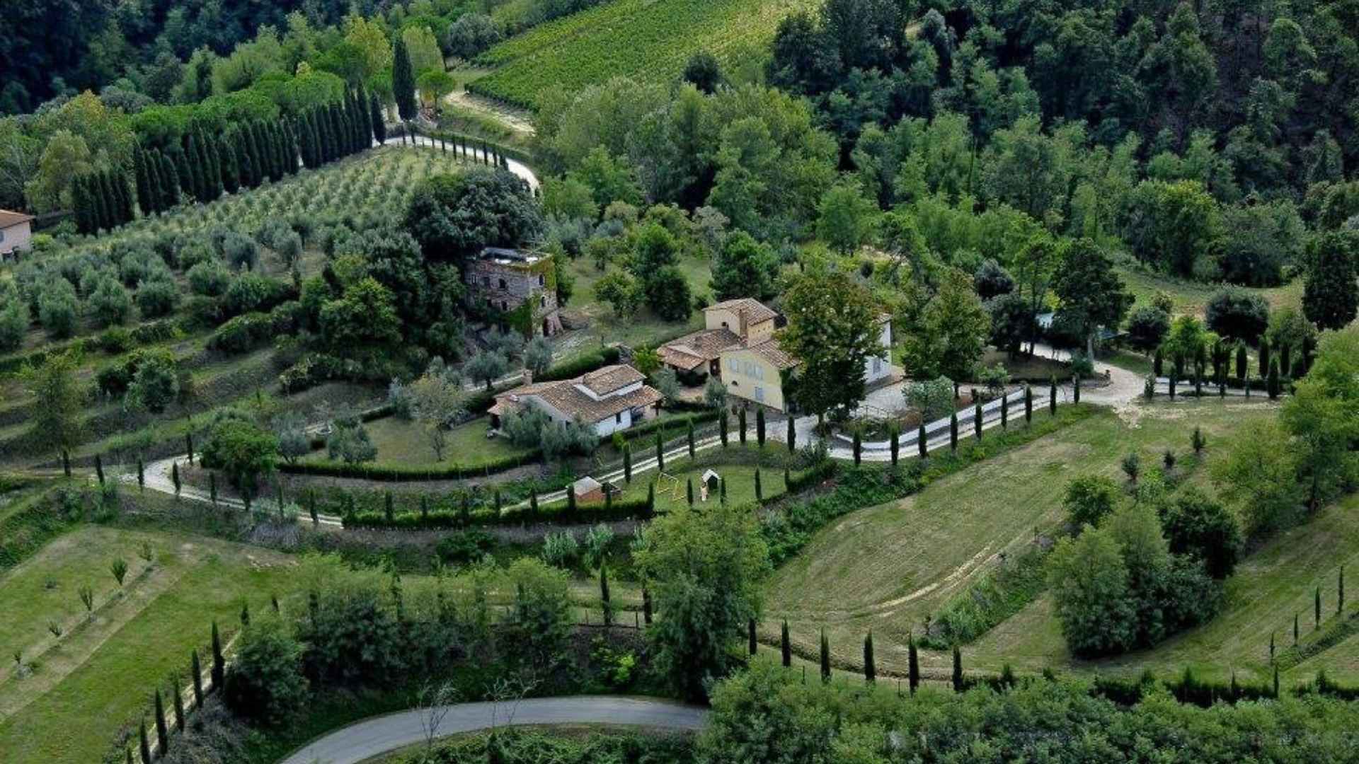 The image shows a lot of green, the vineyard and surrounding forest of the Fattoria Uccelliera winery.