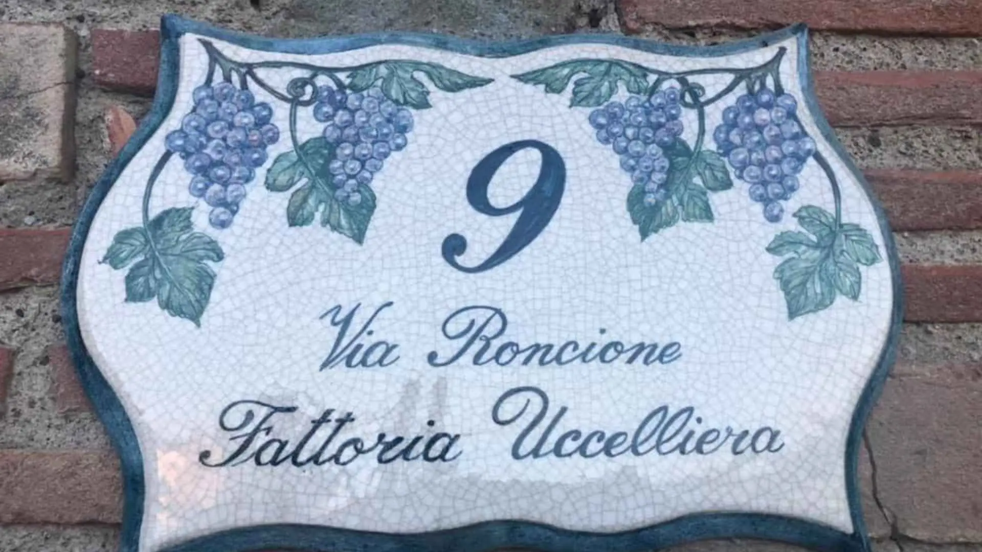 The image shows a beautiful street number sign of the Fattoria Uccelliear winery. the sign is made out of marble, and has grapes on it.