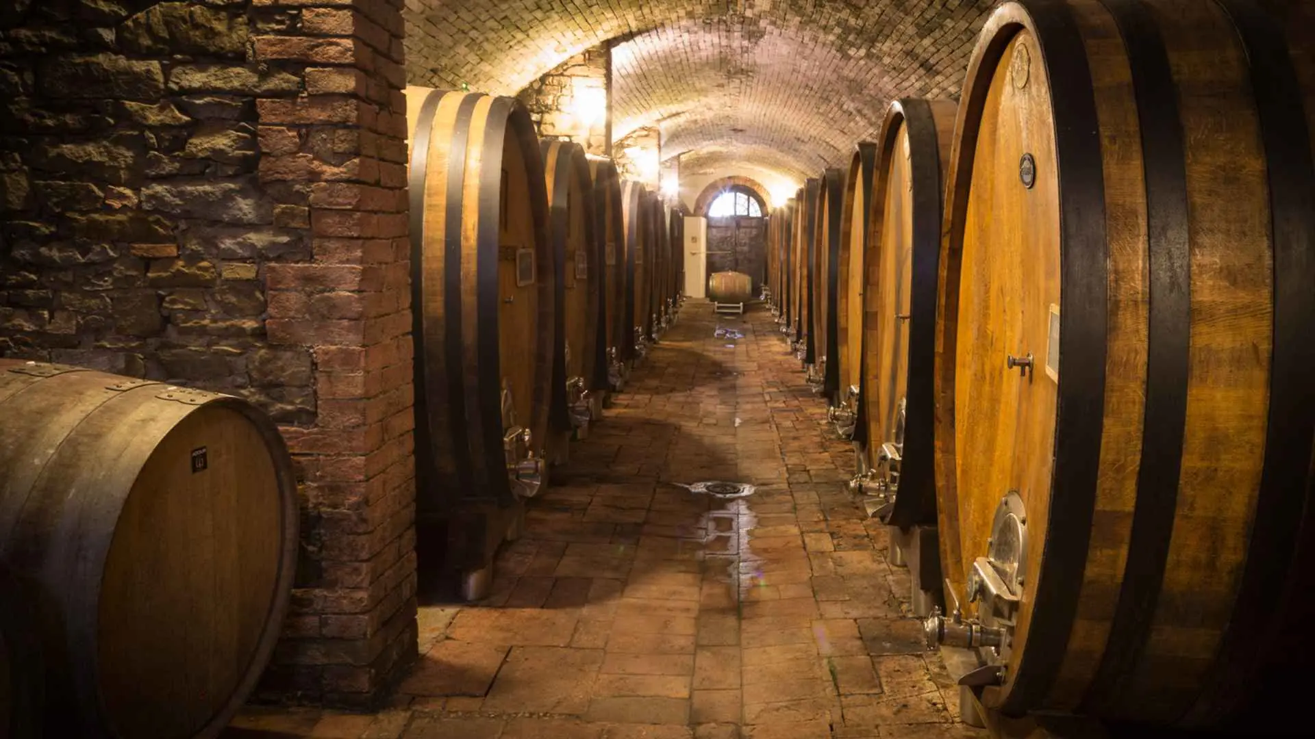 The photo shows the Fattoria San Michele a Torri cellar with huge wine barrels on each side of the room, the walls and ceiling of which were made with bricks.