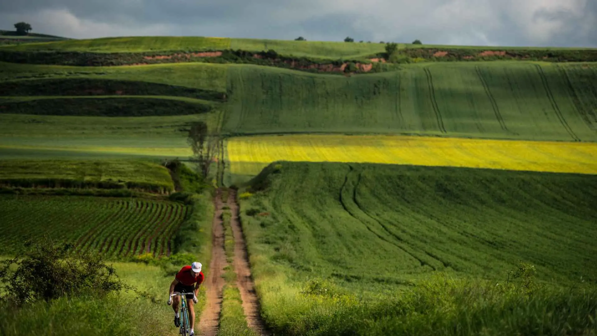 The photo shows the Bodegas Corral vineyards, as well as a lonely cyclist in full gear, going down a dirt road. There is an overcast sky in the background.