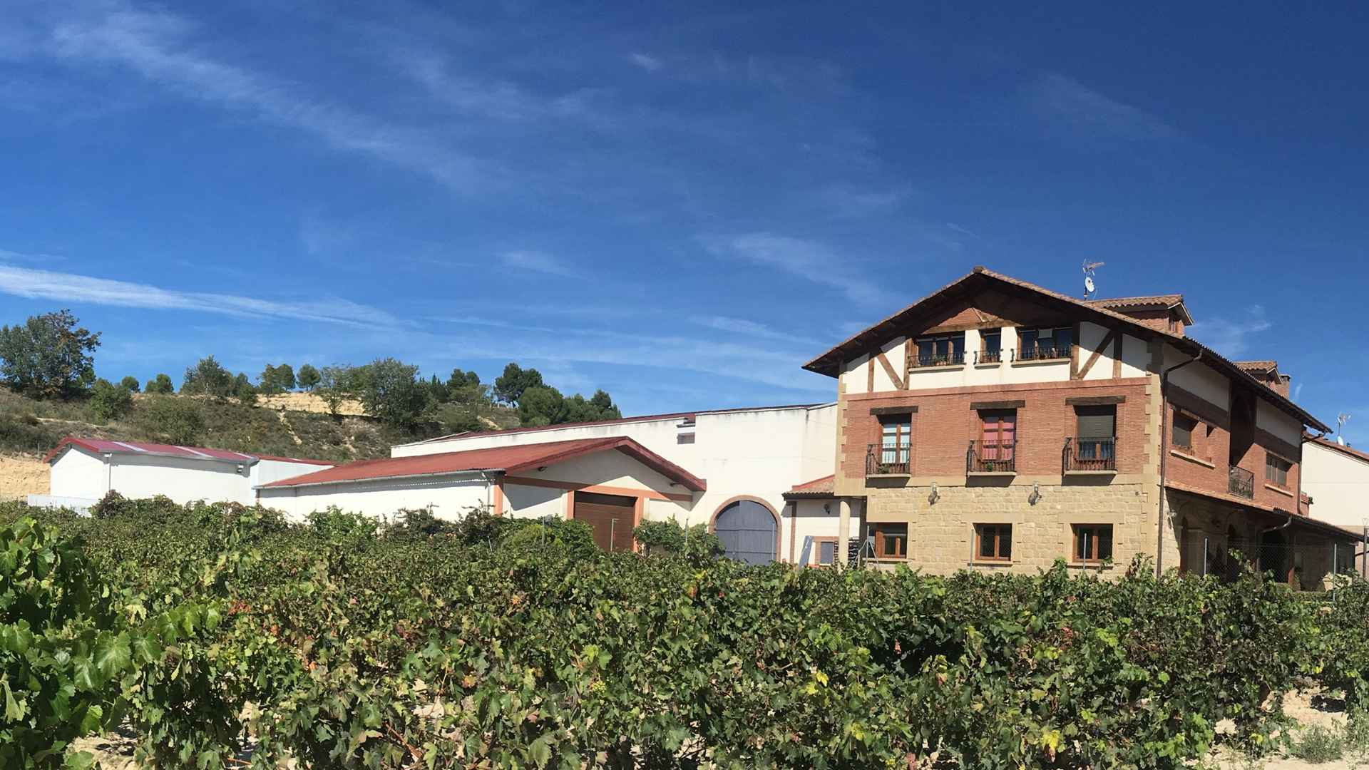 Bodegas Loli Casado Bodegas Loli Casado
