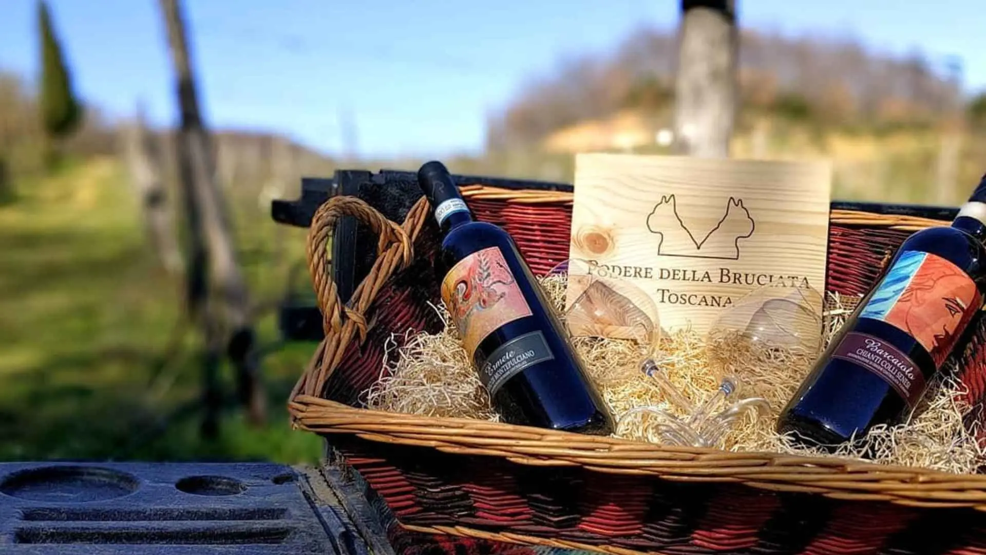 Podere Della Bruciata wine tasting experience. Two wine bottles and glasses can be seen in a basket, as well as a wooden sign with the name of the winery. It is in the vineyard, while the rest of the shot is out of focus.