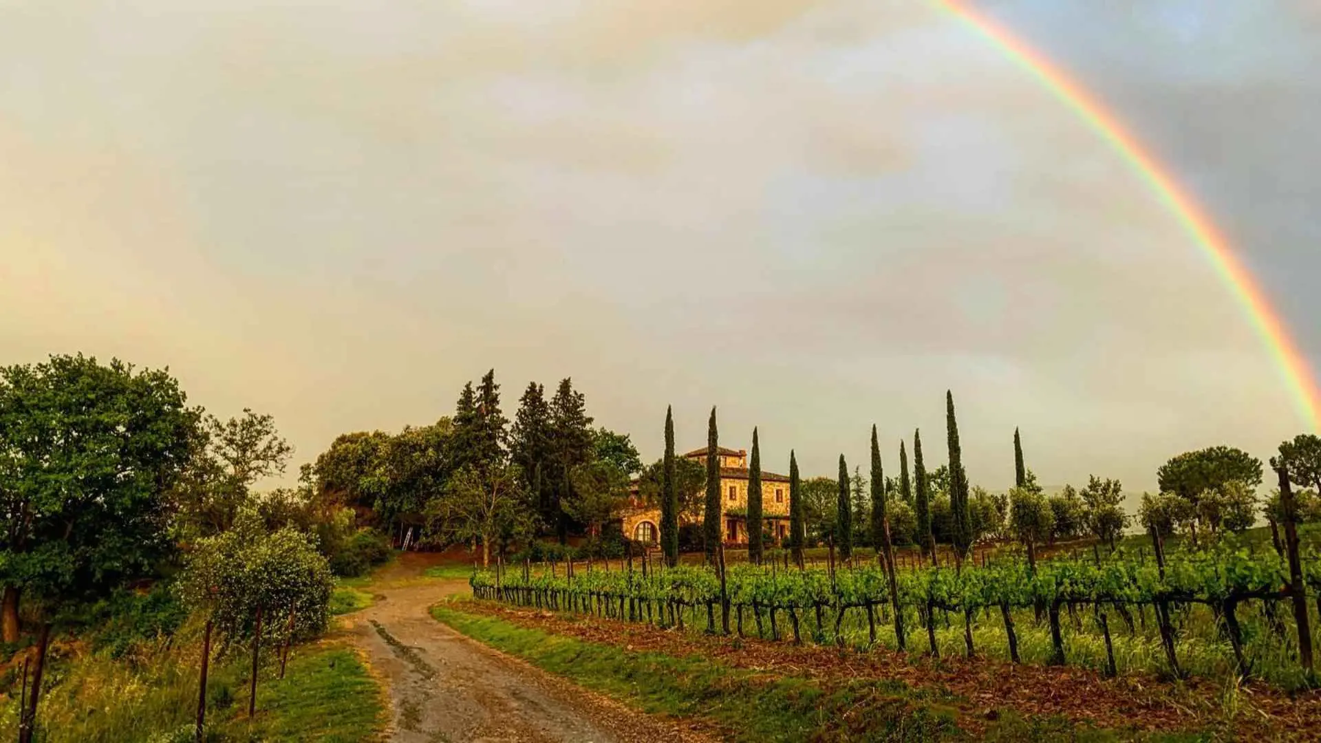 Molino di Santa Antimo vineyard and winery building. The foreground hosts the vineyard, while the back has the winery. There is a rainbow on the right side of the image. The time of day is late afternoon and the sun is low.