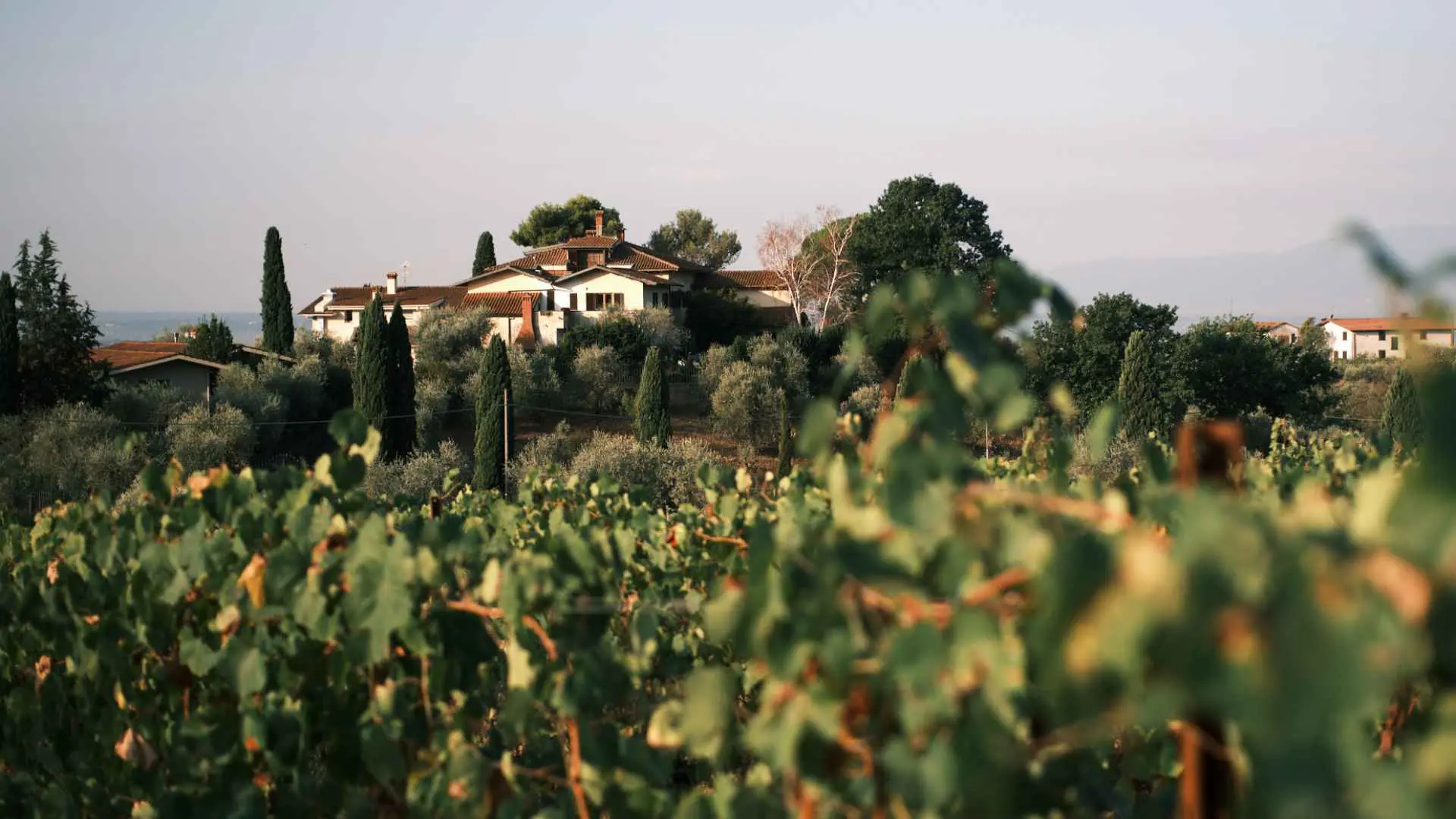 Tenuta Querciamatta Tenuta Querciamatta