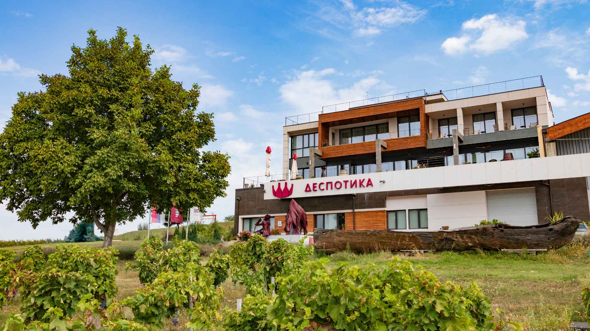 Serbia, Sumadija, Winery Despotika Serbia, Sumadija, Winery Despotika
