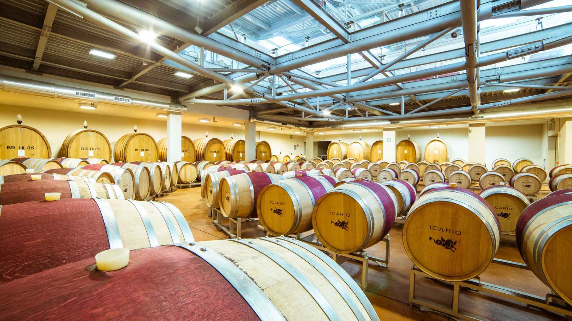 Icario winery wooden barrels. The barrels have the winery's name on the lids. 