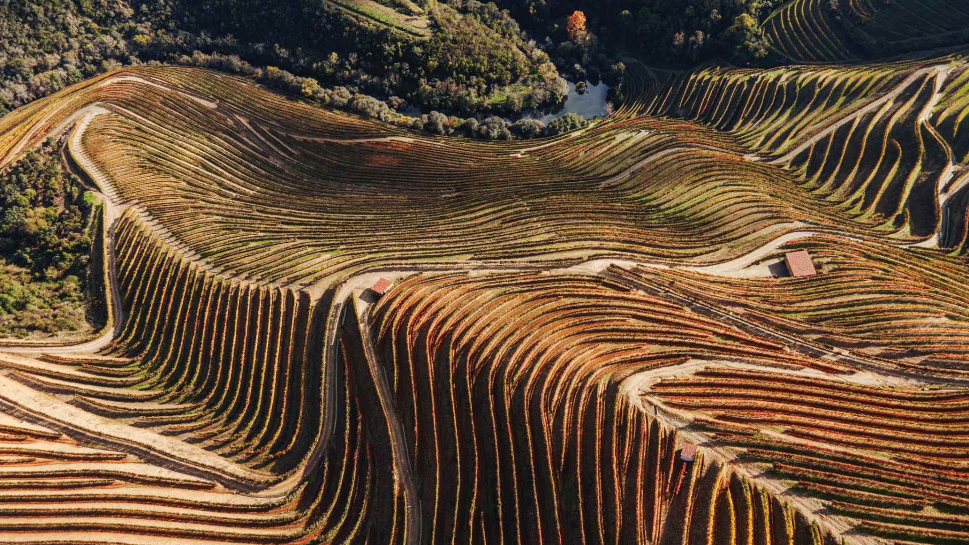 Vineyards can be seen, from above, as well as the iconic winding roads of the Douro valley. These are Adega H.O vineyards.