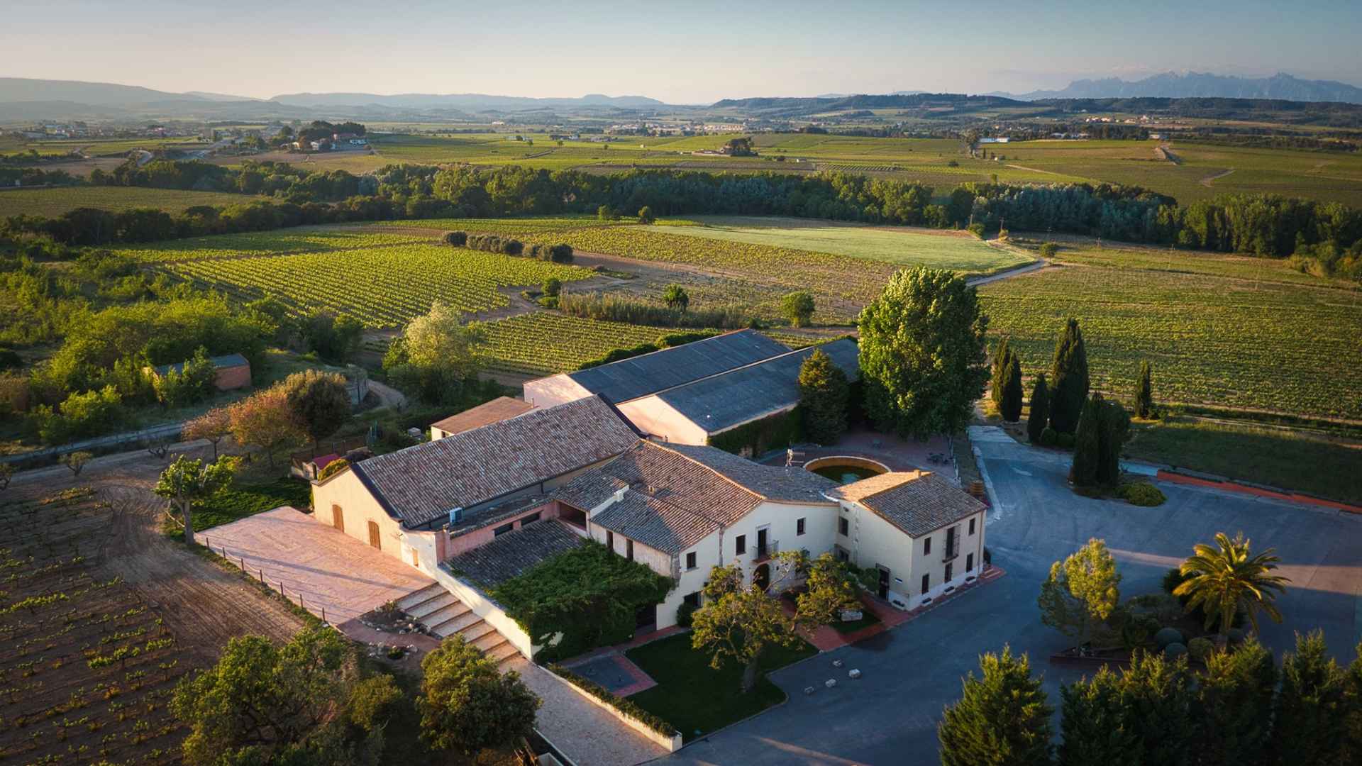 The Giro Ribot winery can be seen in the middle, with vineyards on all sides. The image was taken at late afternoon and the skyline is blue.