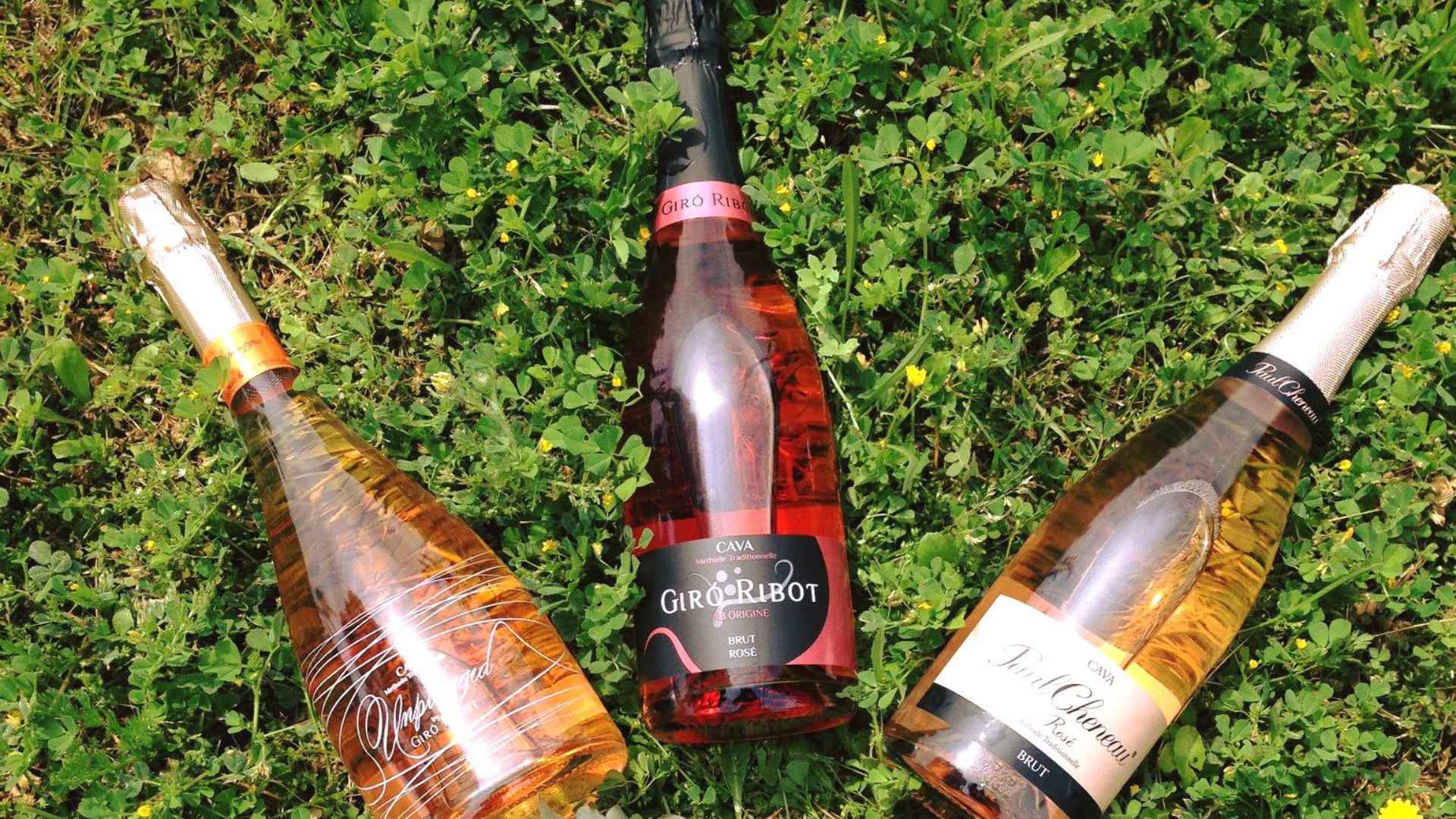 Three very distinct Giro Ribot wine bottles, lying in the grass.
