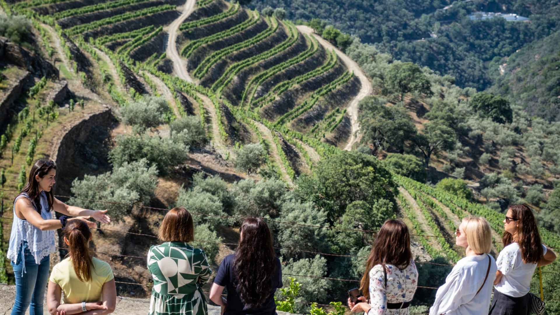 Quinta Do Noval wine tasting experience. The Image shows people listening to a guide while the Quinta Do Noval hillside vineyard can be seen in the background.