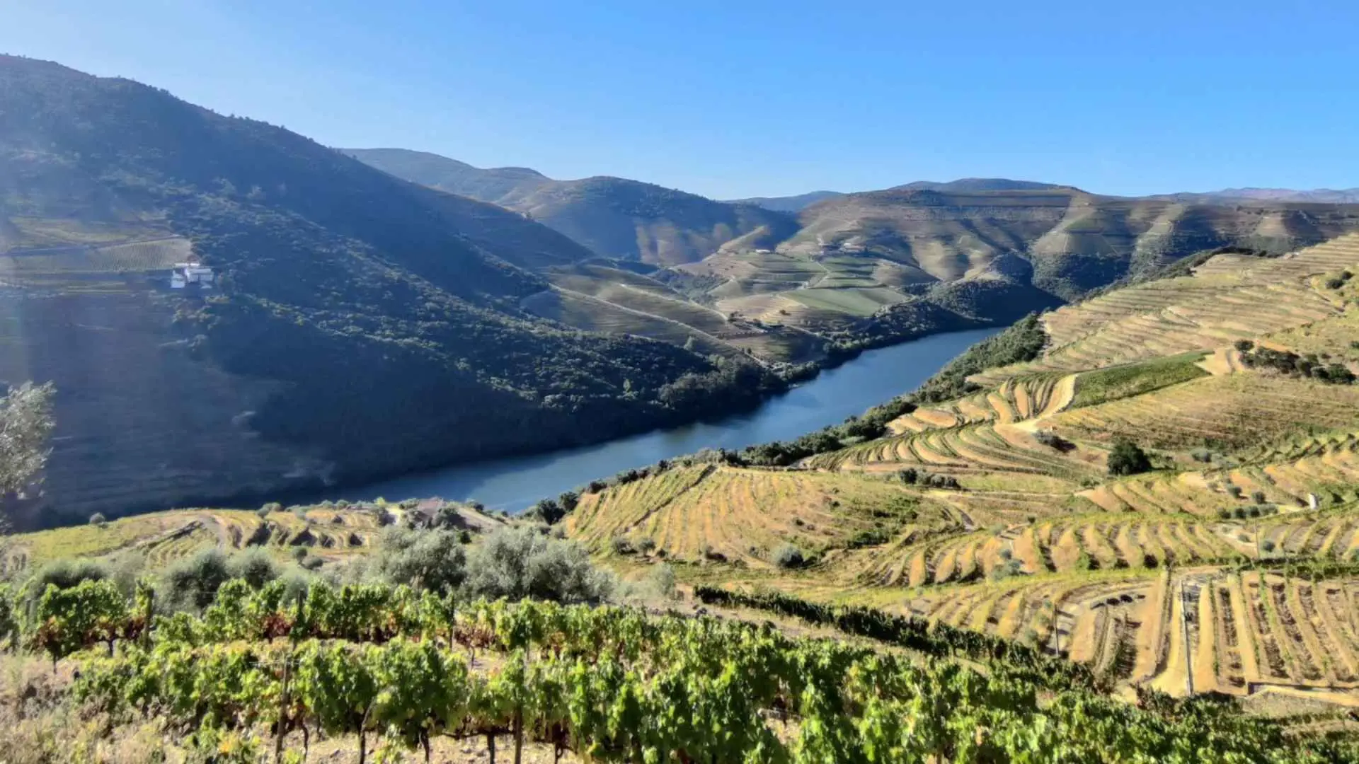 The Quinta Do Noval Winery overlooking the Douro valley and the eponymous river.