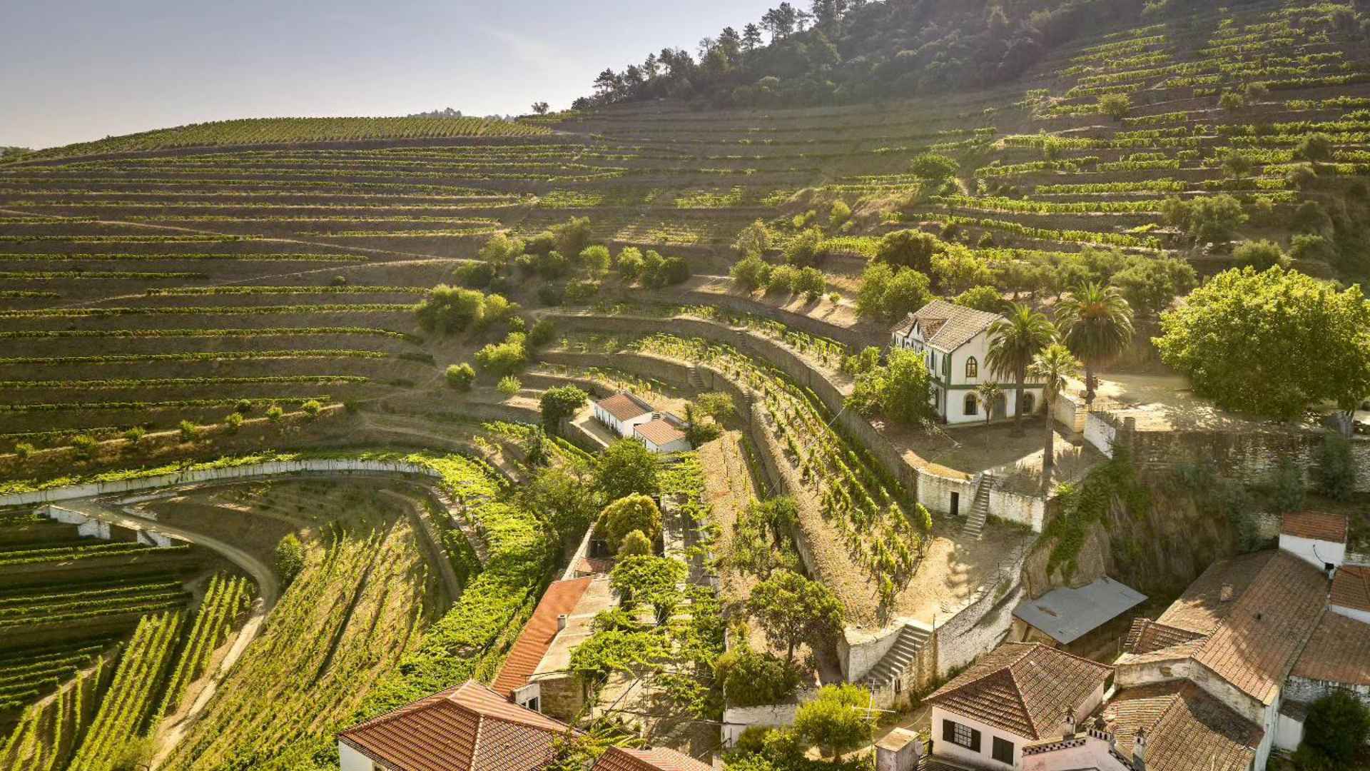 Quinta Do Noval Quinta Do Noval