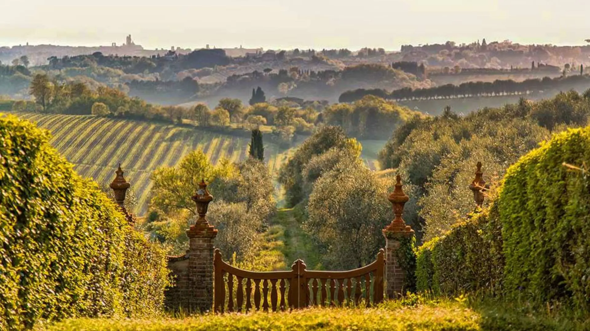The view from the front lawn of the Montechiaro estate, showing its yellow gate, brick walls, as well as a vineyard in the background. The image is taken during a sunset. 