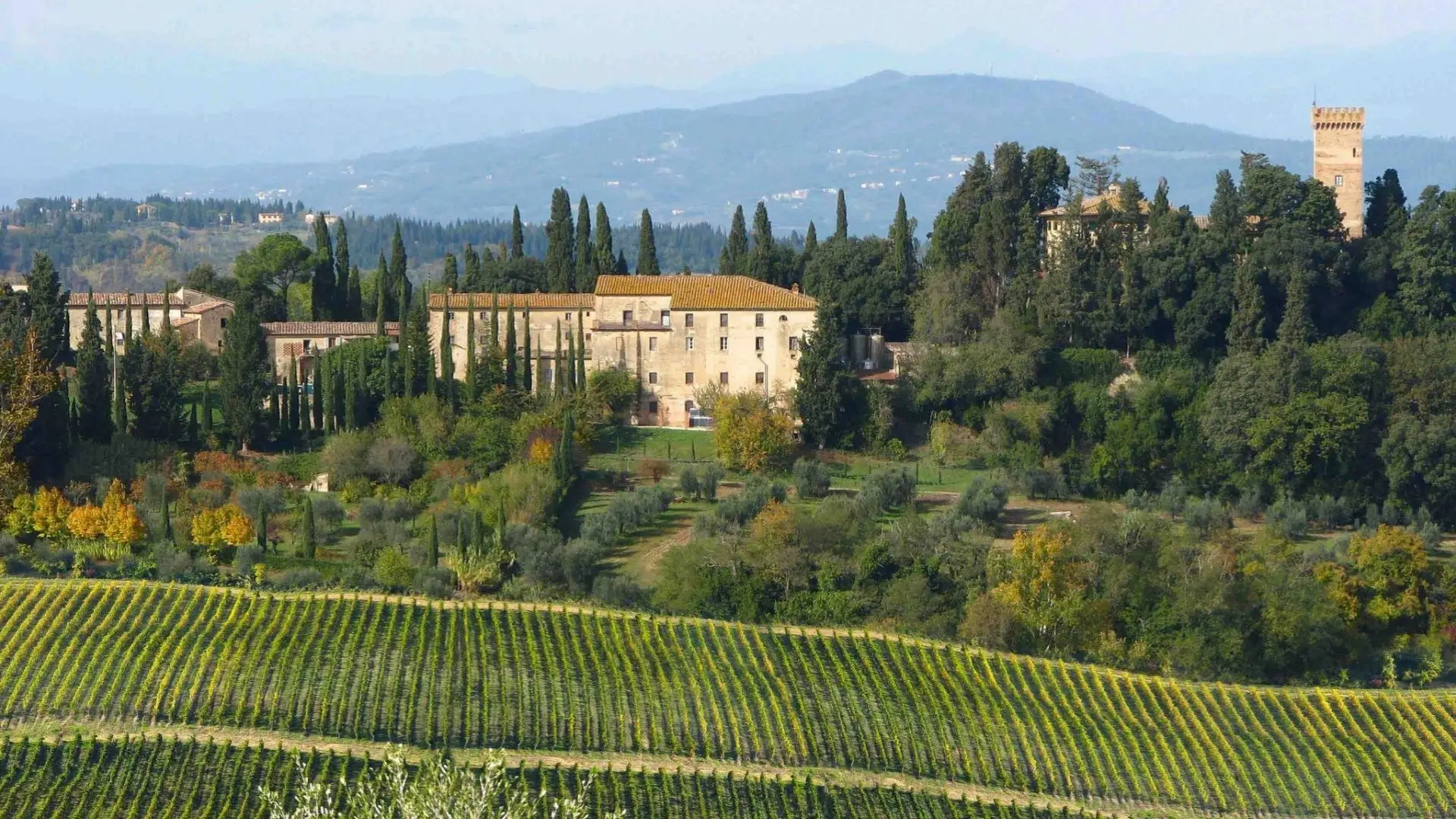 Castello Sonnino in Italy is another castle, turned into a winery. The image shows a vineyard in front, with a garden, castle, forest, hills, and a blue sky in the background.