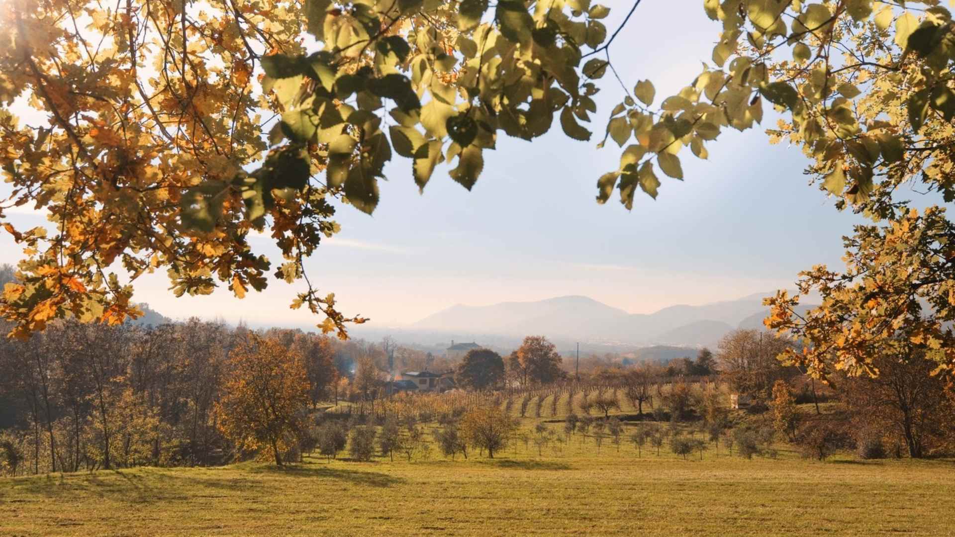 The image shows the Cascina Belmonte winery during autumn/fall. There are yellow leaves in the foreground, blocking some of the blue sky, and various fields and trees in the background.