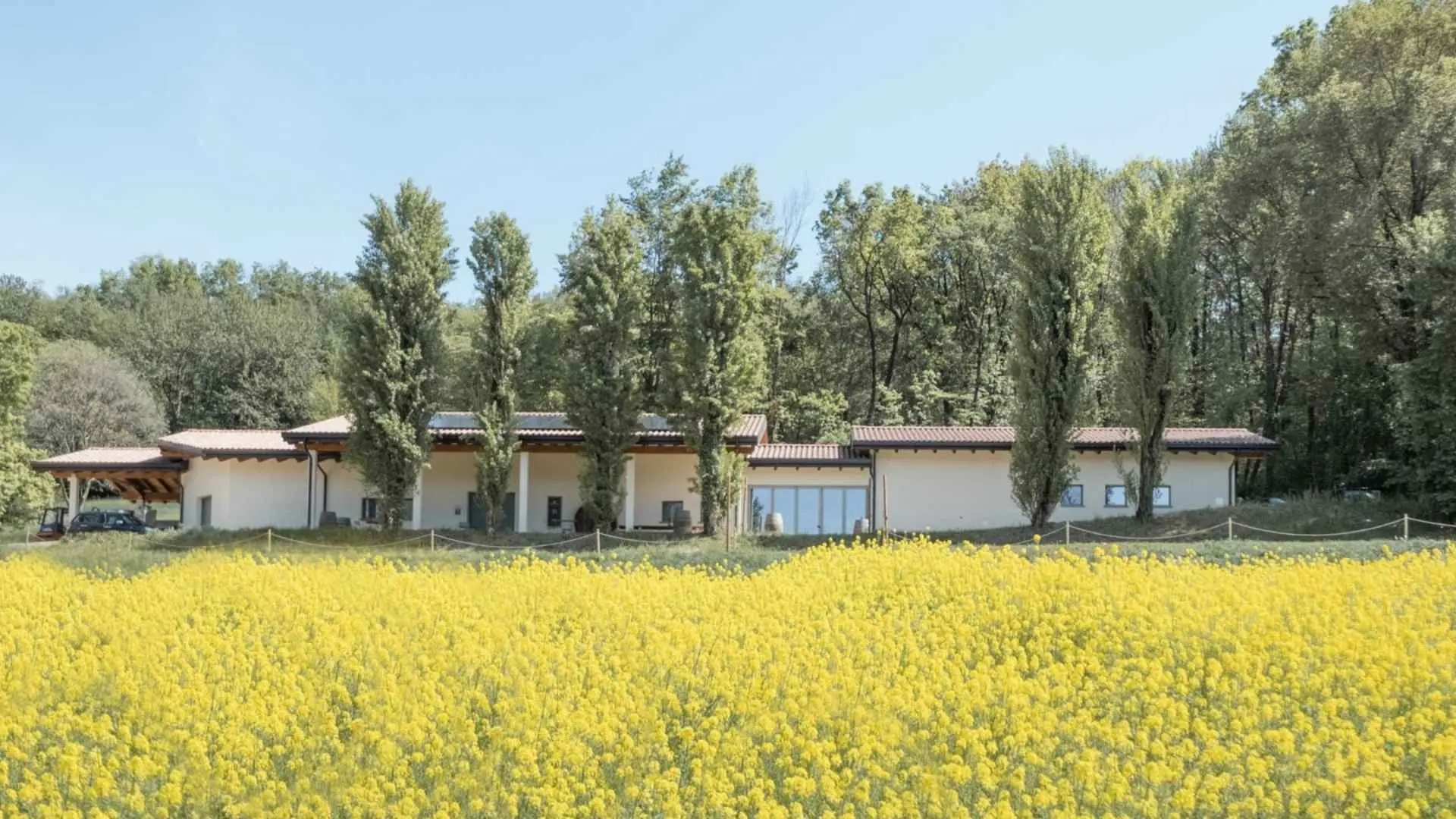 Nestled in the heart of Valtènesi, on the southwestern shores of Lake Garda, Cascina Belmonte is a family-run organic winery committed to crafting authentic, vibrant, terroir-driven wines that express the richness of its clay-rich soils. Nestled in the heart of Valtènesi, on the southwestern shores of Lake Garda, Cascina Belmonte is a family-run organic winery committed to crafting authentic, vibrant, terroir-driven wines that express the richness of its clay-rich soils.