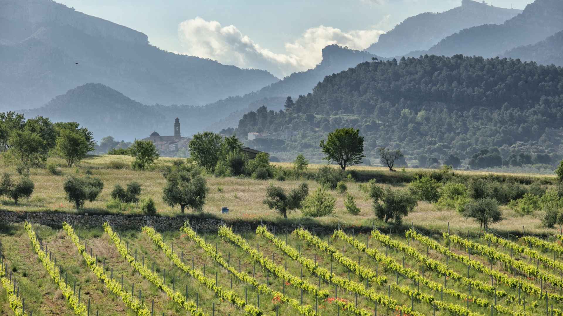 Spain, Catalonia, Bell Cros Spain, Catalonia, Bell Cros