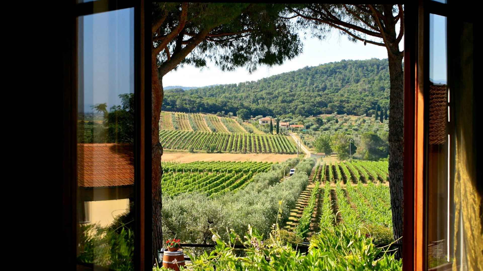 Tenuta Bulichella
