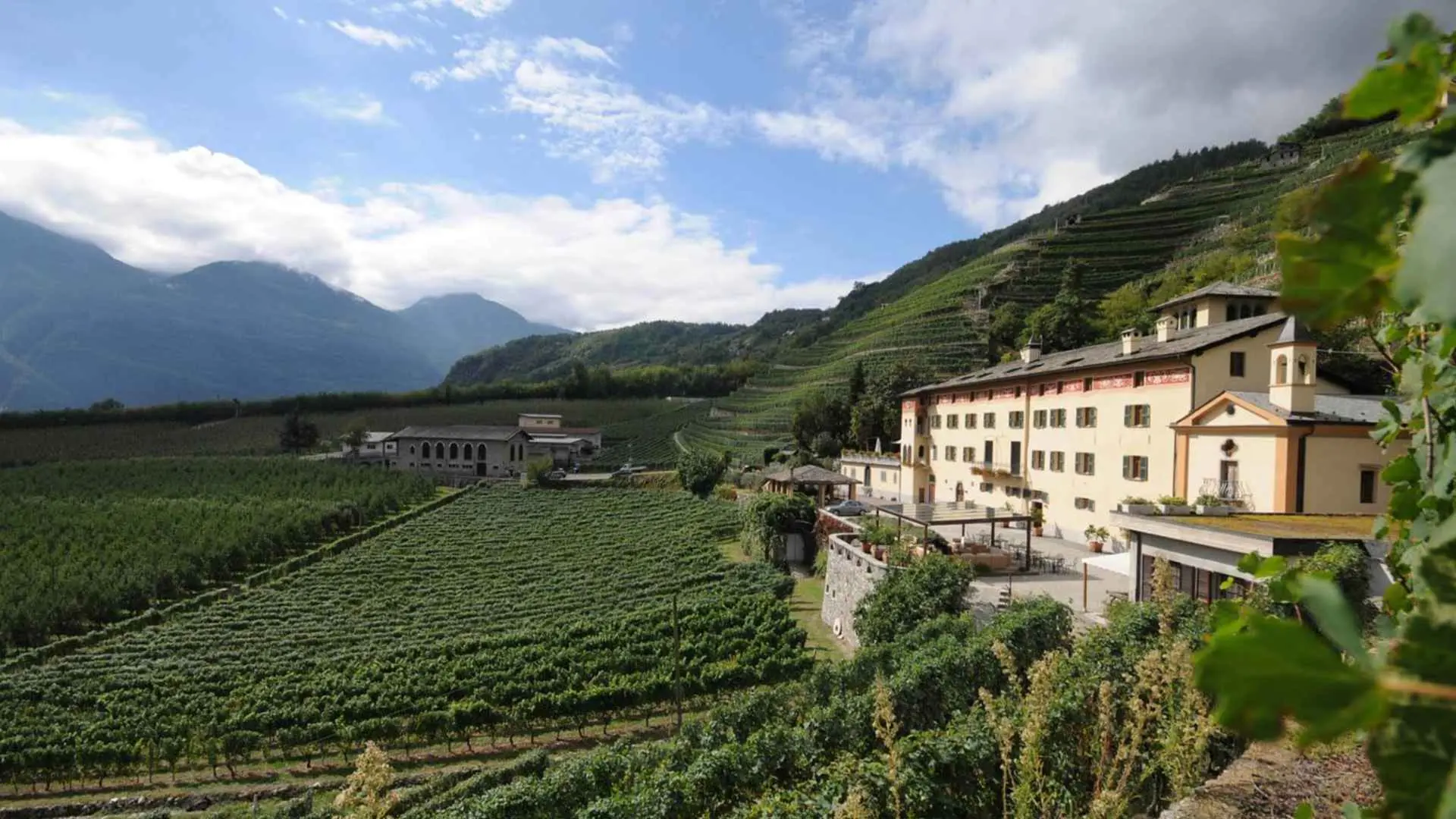 Tenuta La Gatta