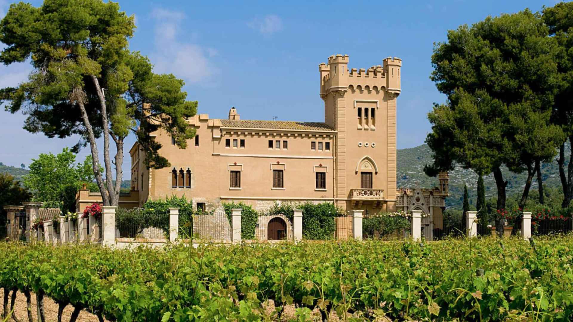 Spain, Catalonia, Bodegas Torre Del Veguer Spain, Catalonia, Bodegas Torre Del Veguer