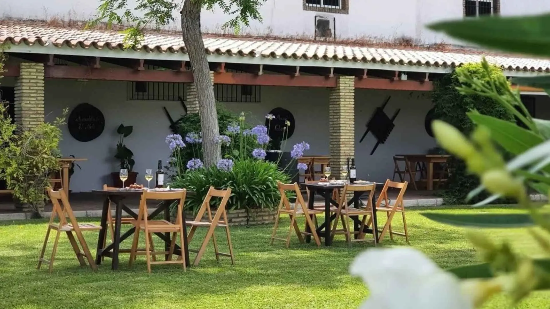 Bodega Manuel Aragón winery courtyard. The courtyard has as neatly cut green lawn, and there are leaves in front of the camera, out of focus. There are tables and wine bottles and glasses on them. There is also food, ready for a proper wine tasting experience.