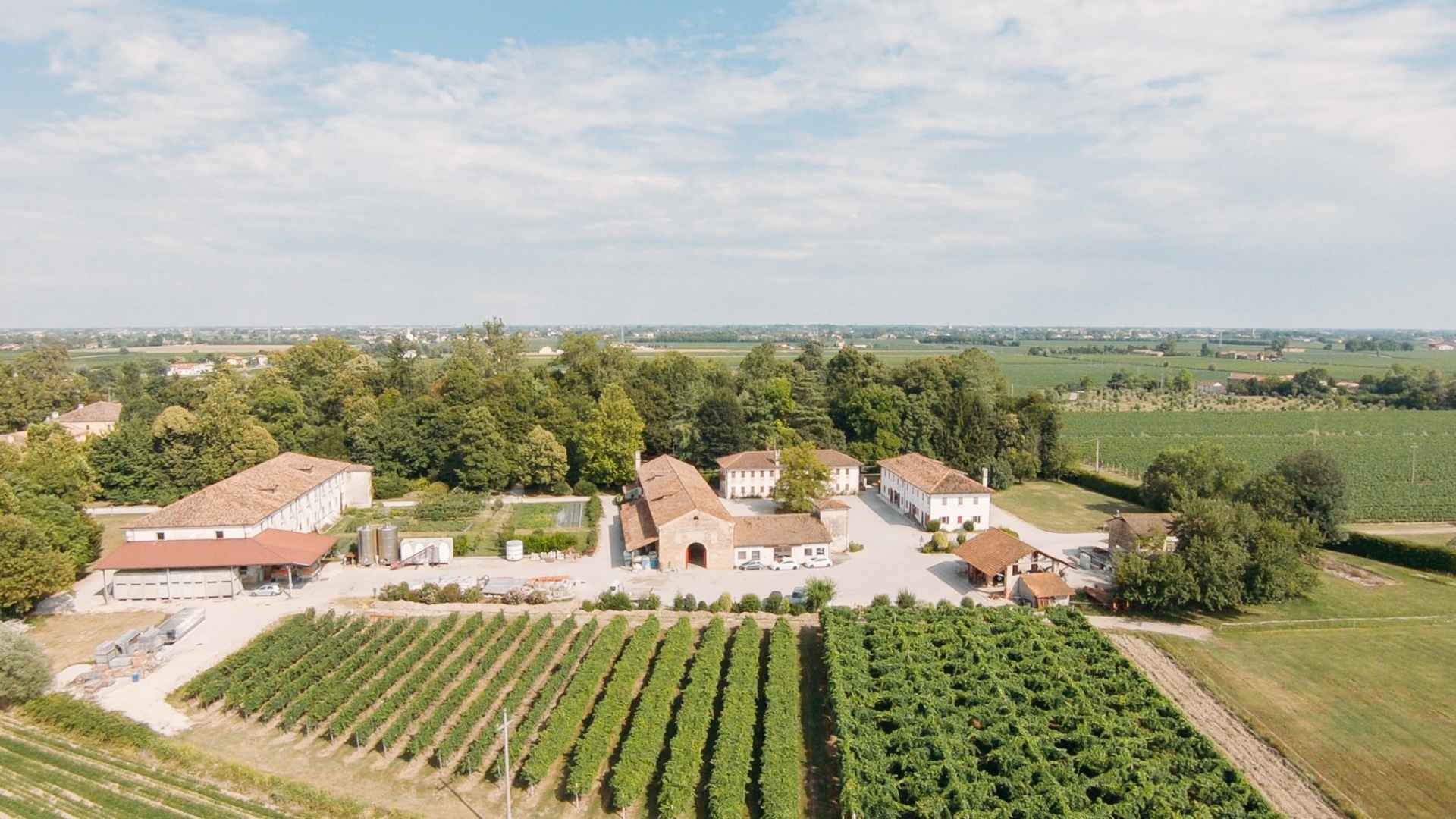 Rechsteiner Winery Rechsteiner Winery