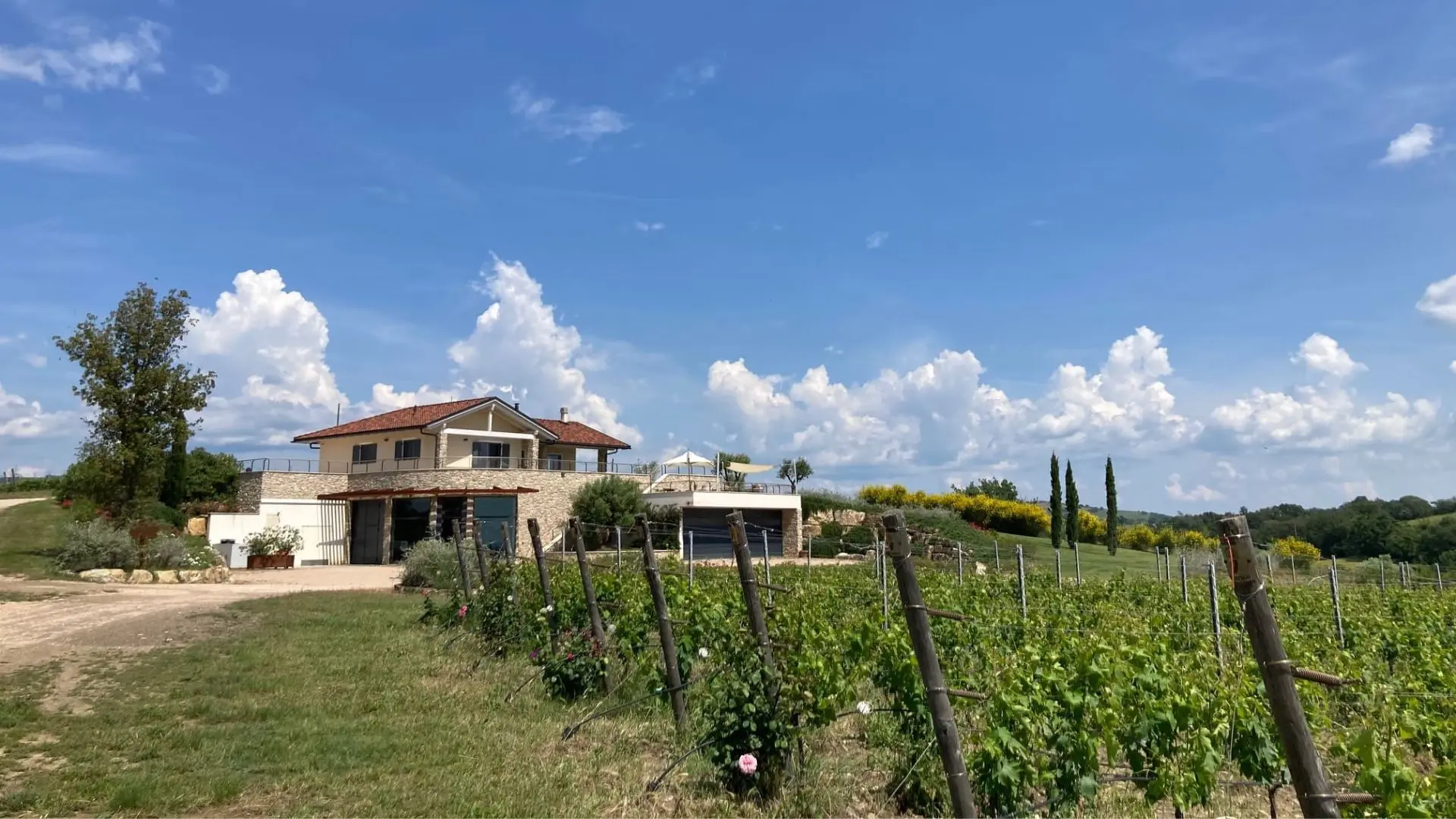 Azienda Agricola Purovino Azienda Agricola Purovino