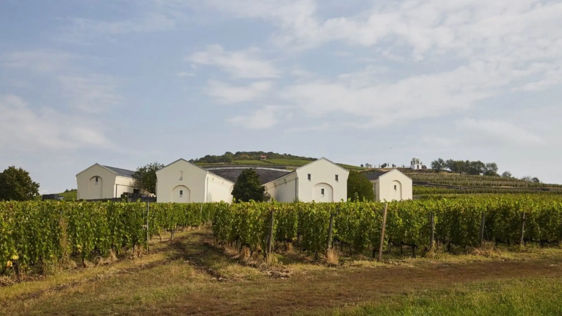 Disznoko winery and vineyards, in the Tokaj region in Hungary.