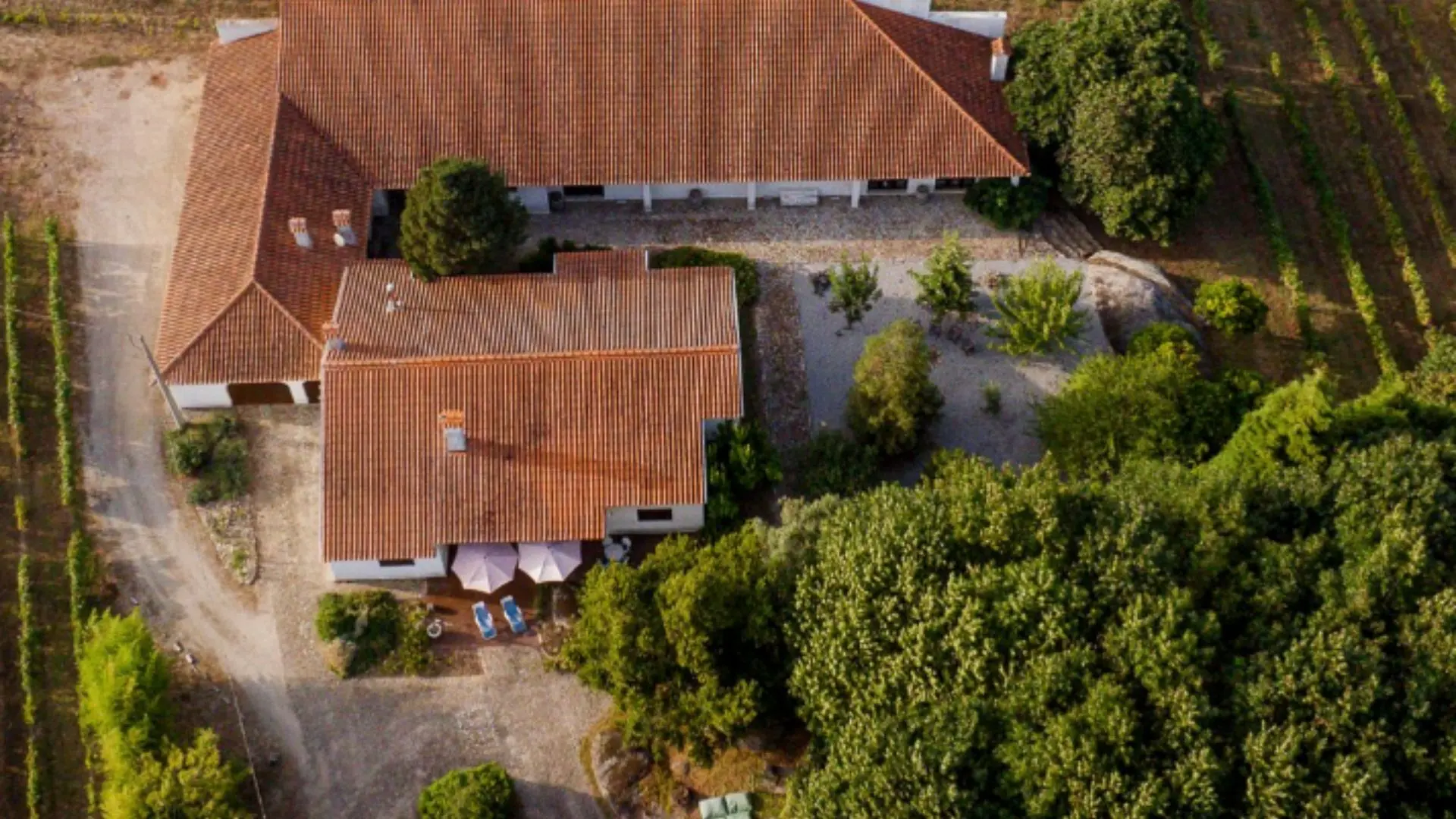 Pereira de Melo winery from above. The building can be seen, some umbrellas, as well as part of the vineyard.