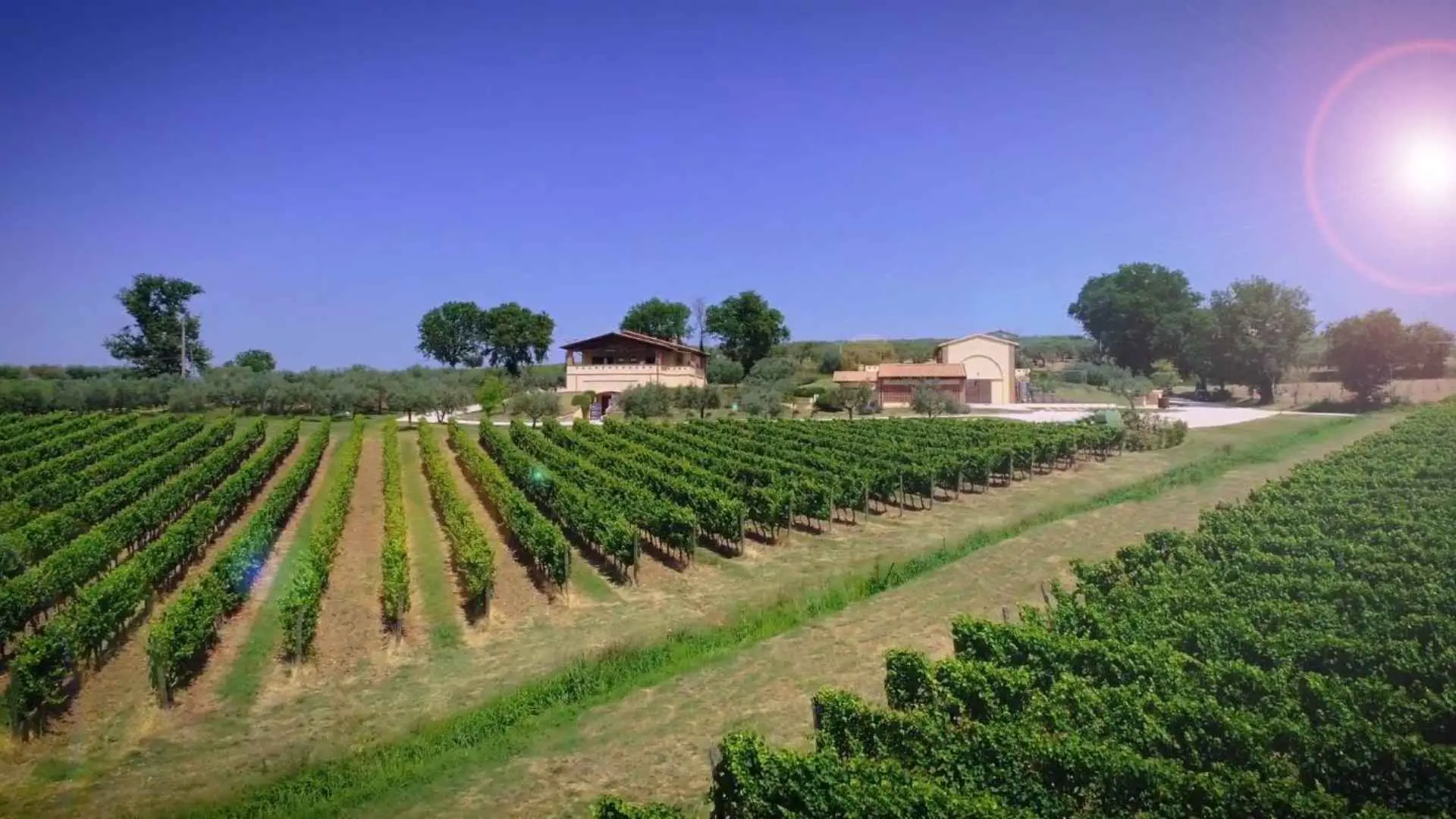Perticaia Winery