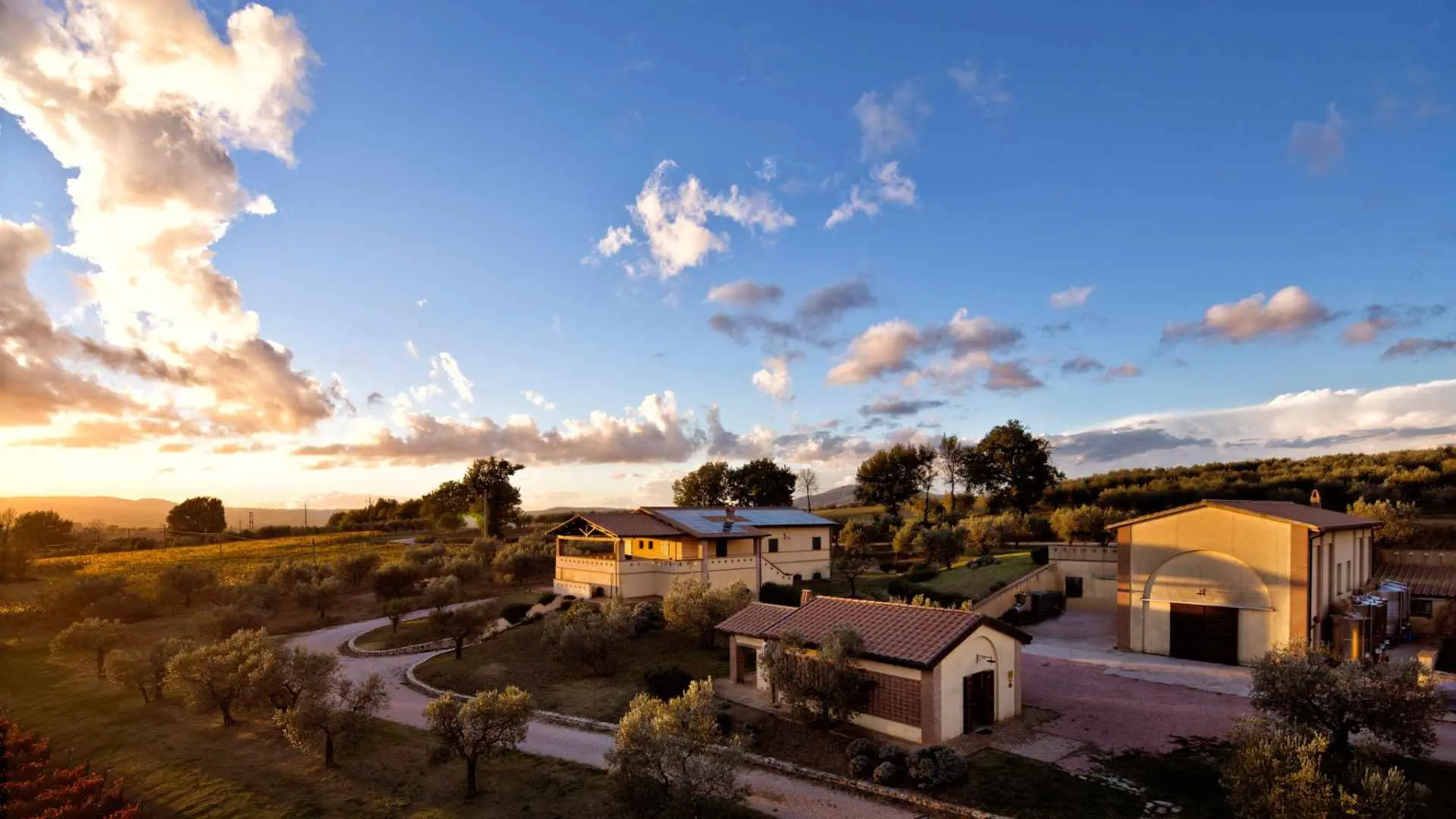Perticaia Winery
