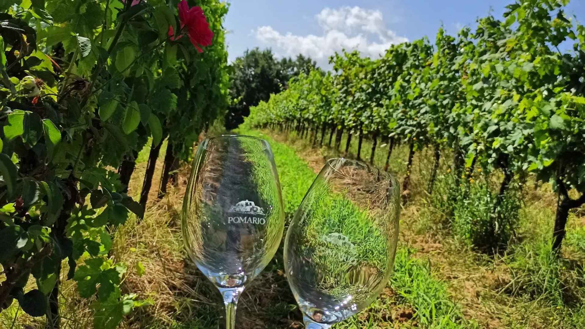 Cantina Pomario