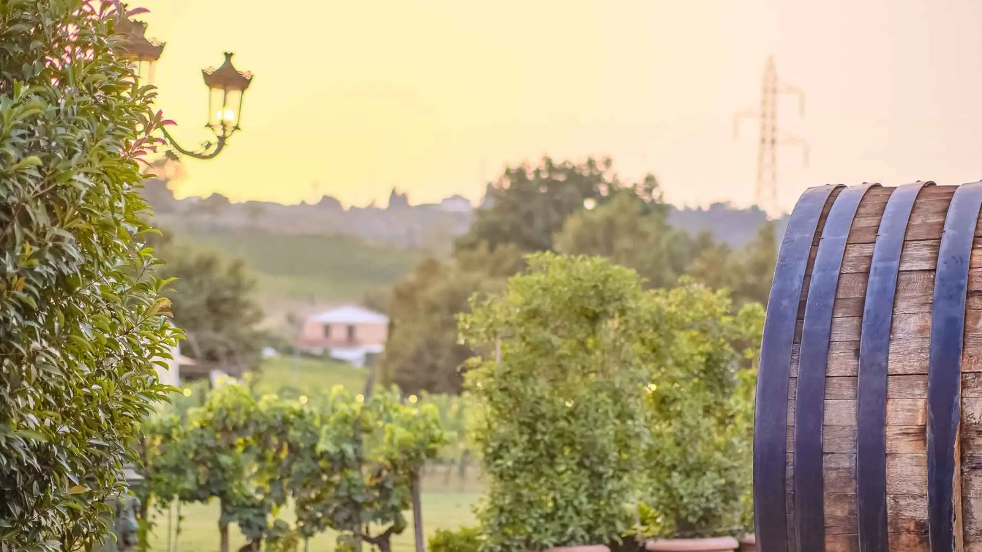 Tuscan Sunset Tour from Siena 