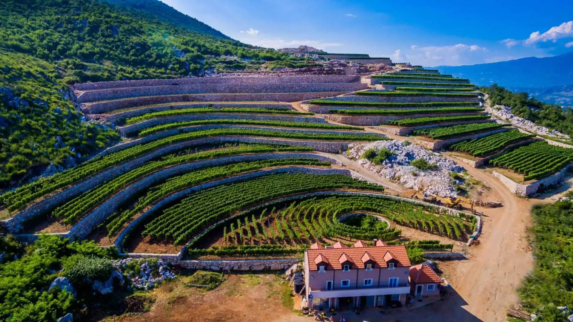 Lipovac winery