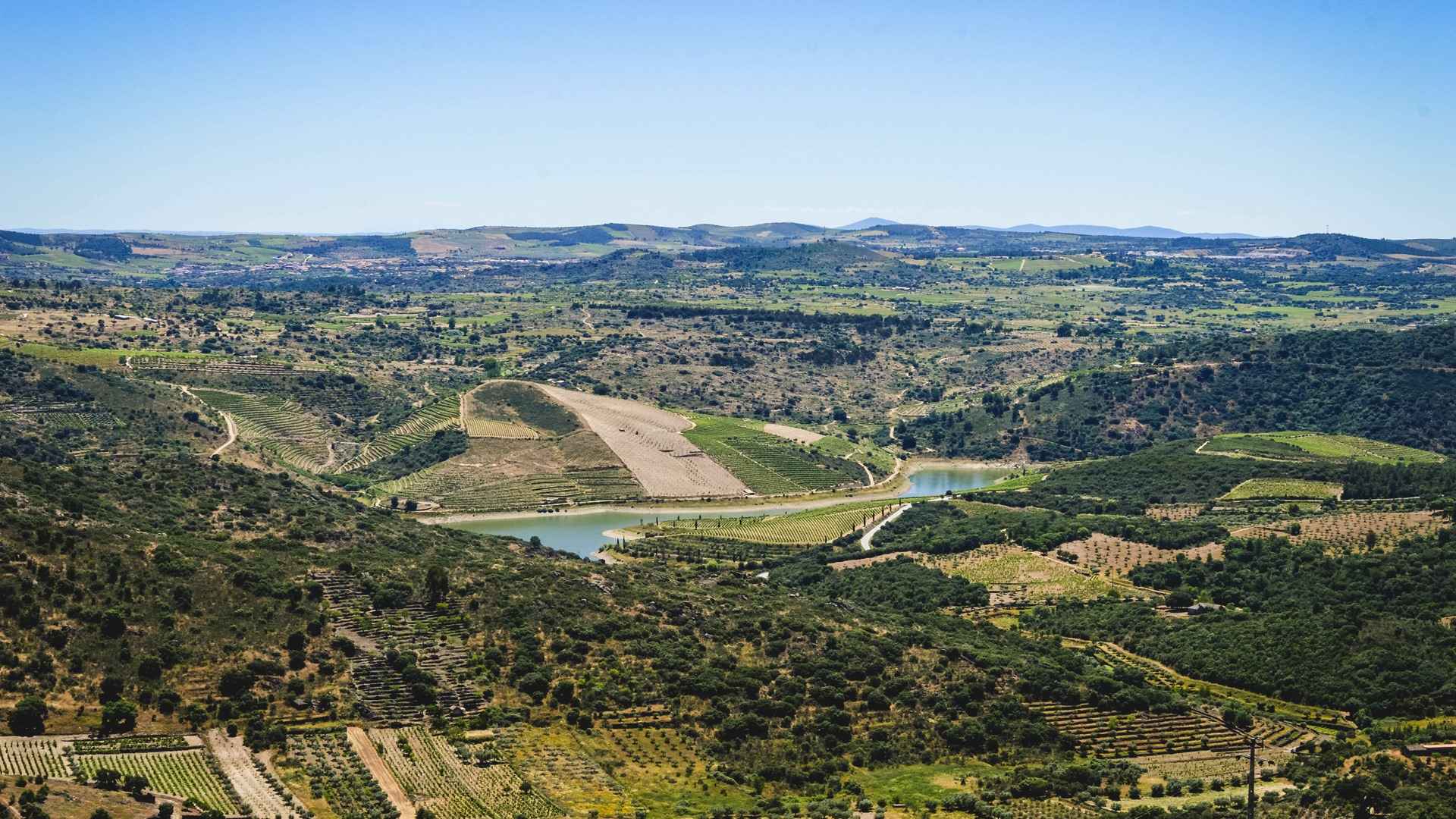 Quinta Da Vineadouro