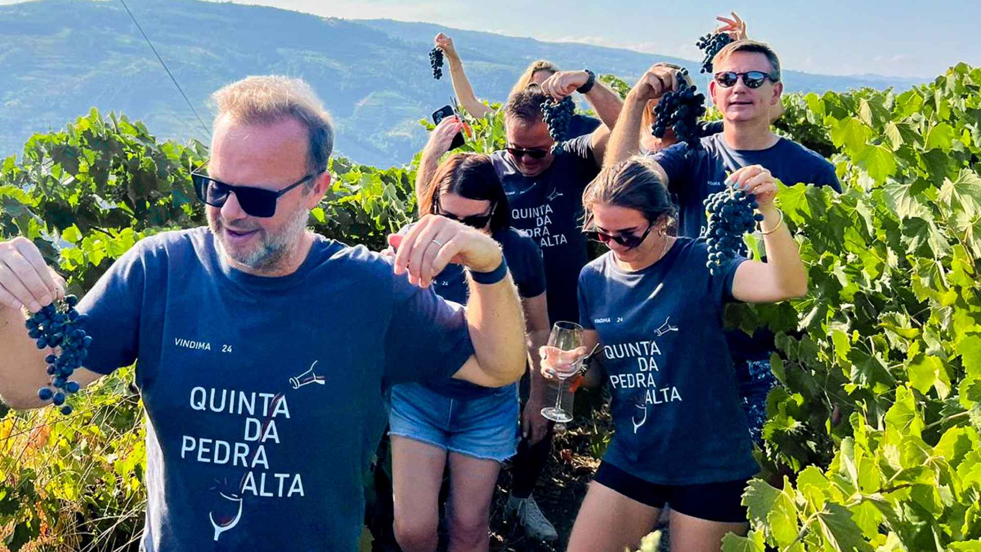 Quinta Da Pedra Alta