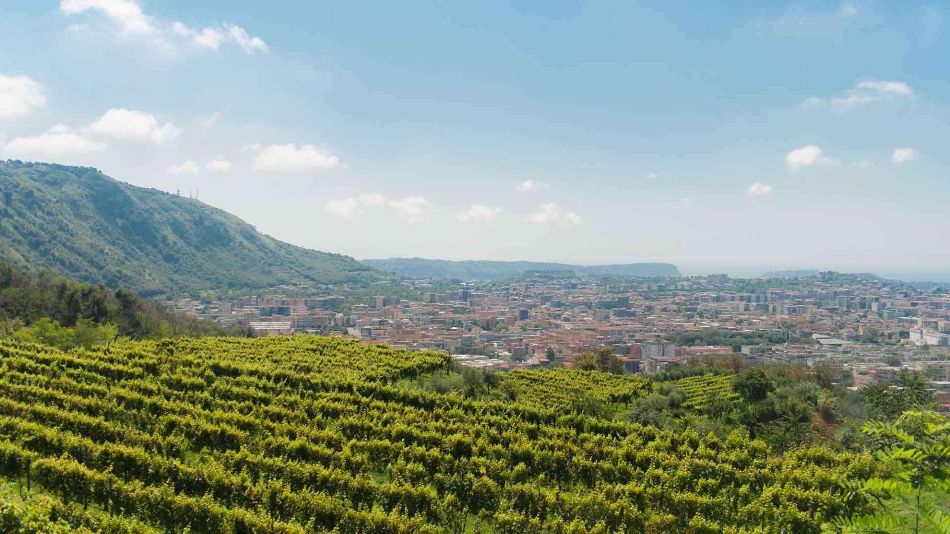 Cantine Astroni