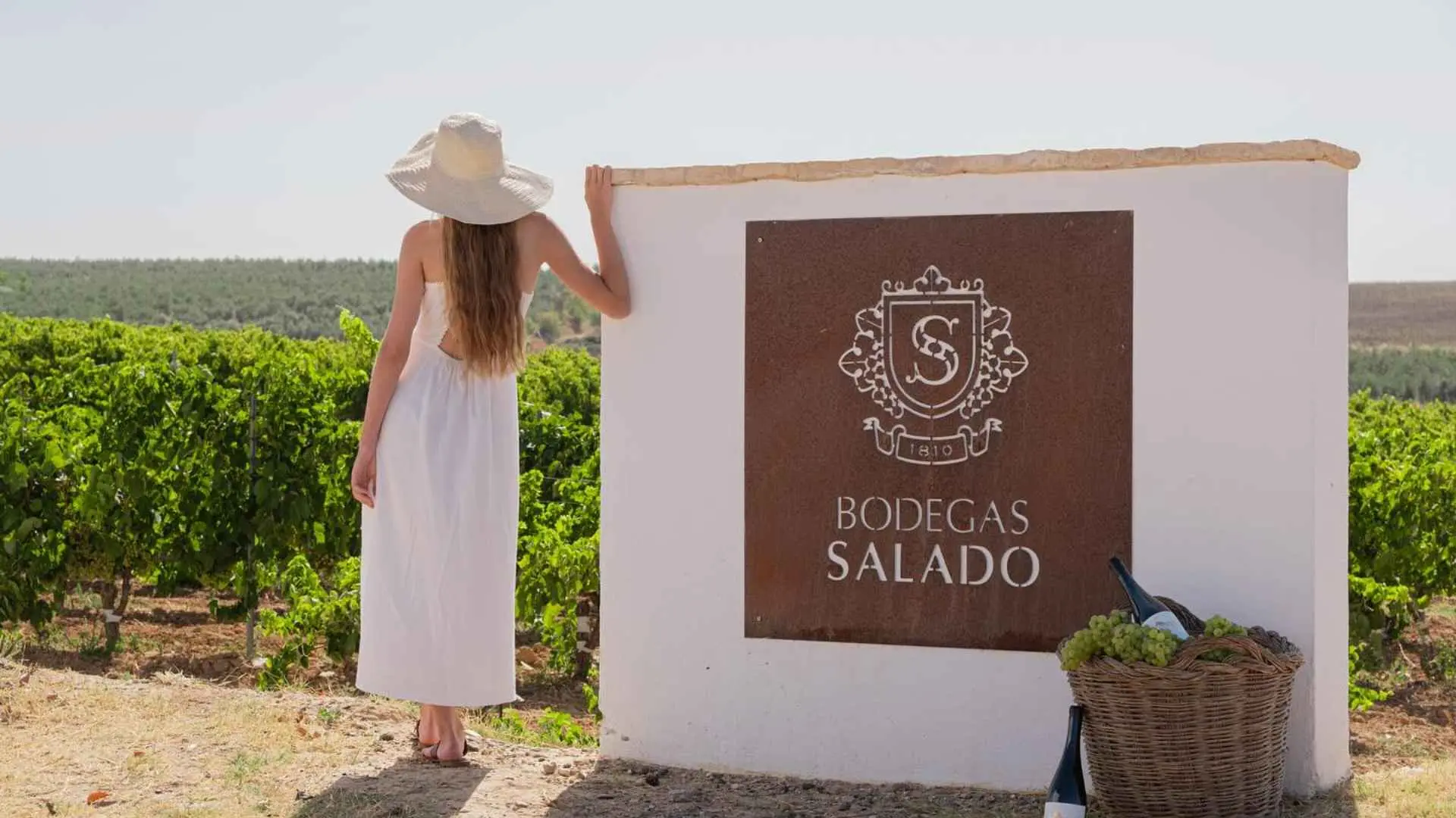 Bodegas Salado