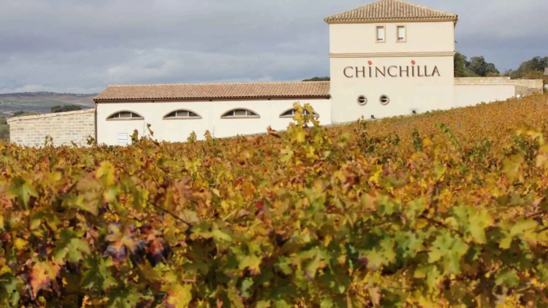 Bodega Doña Felisa