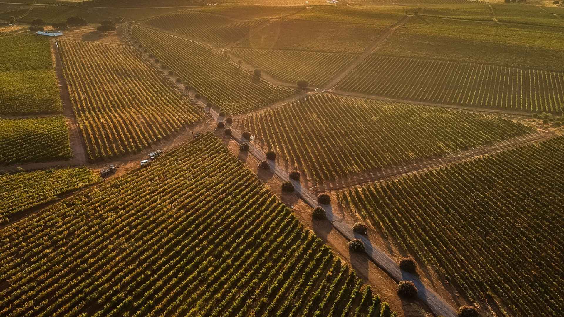 Herdade Grande