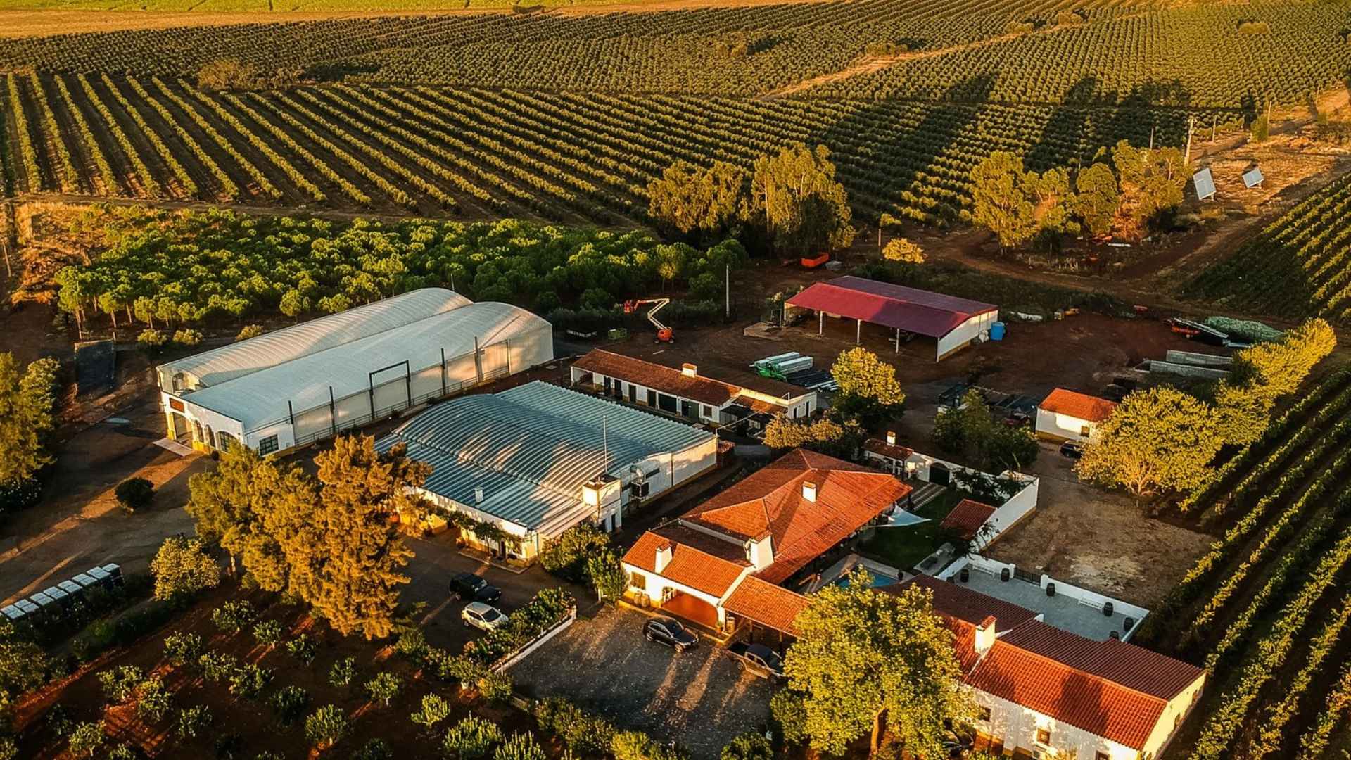 Herdade Grande