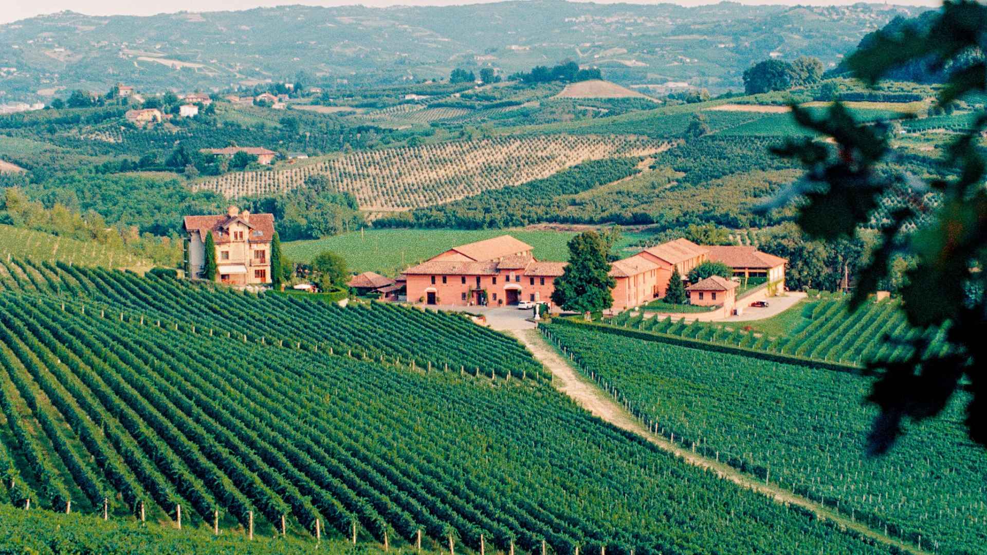 Tenuta Carretta